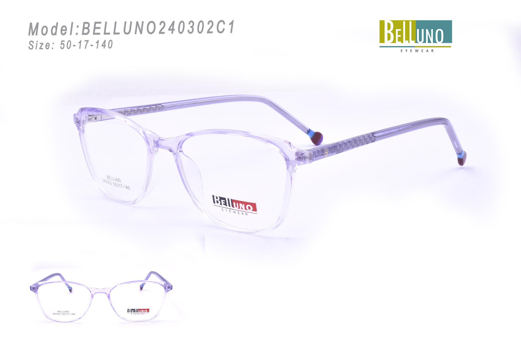 BELLUNO240302C1