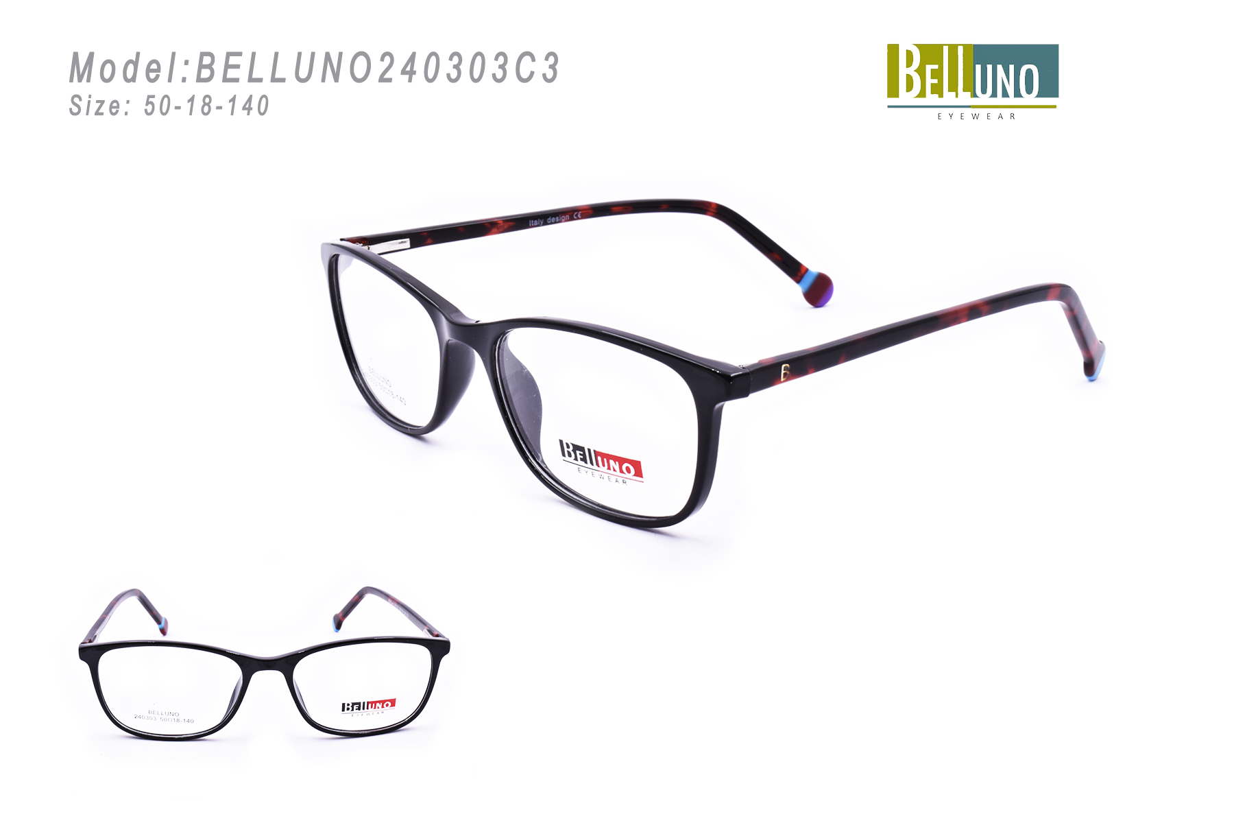 BELLUNO240303C3