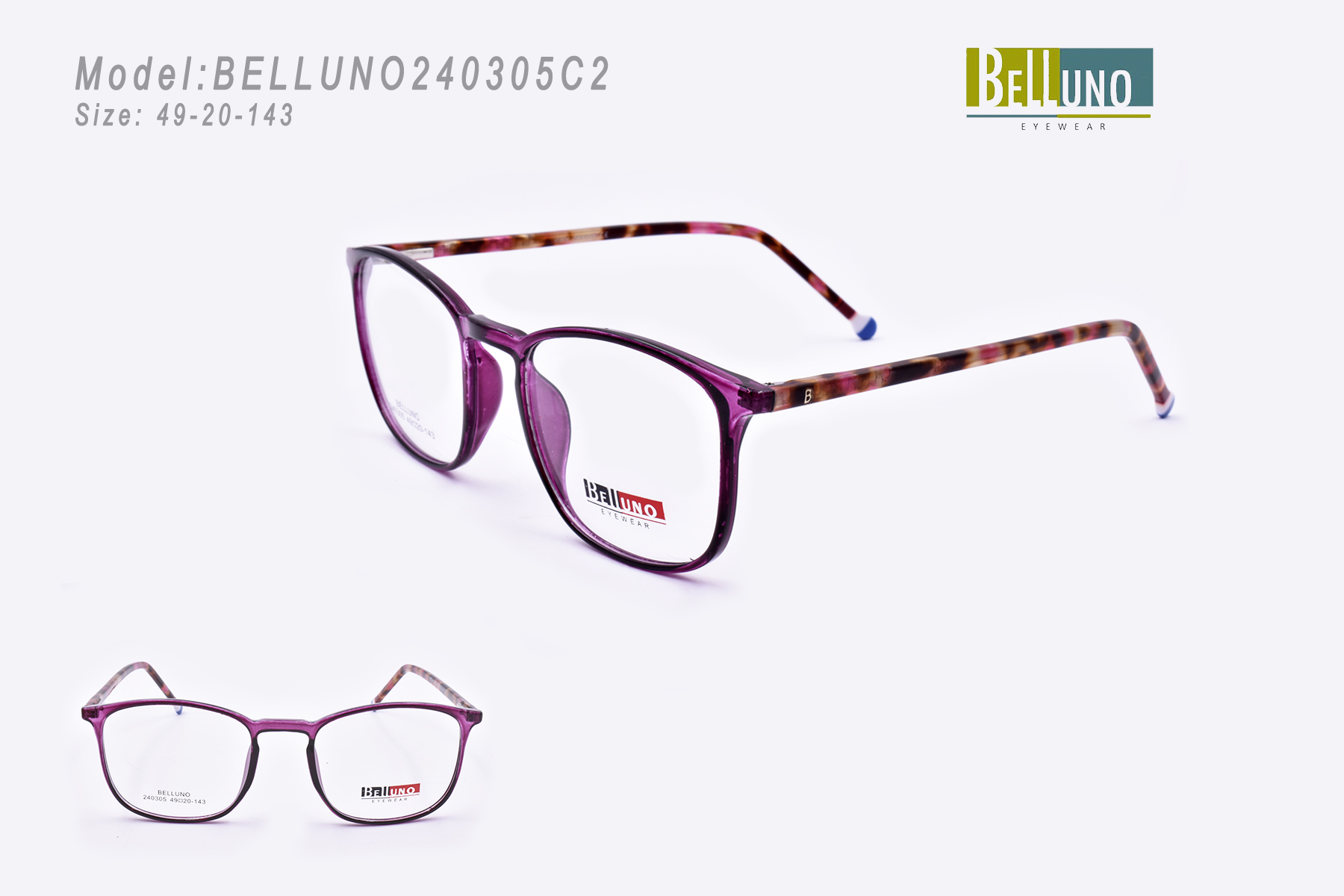 BELLUNO240305C2