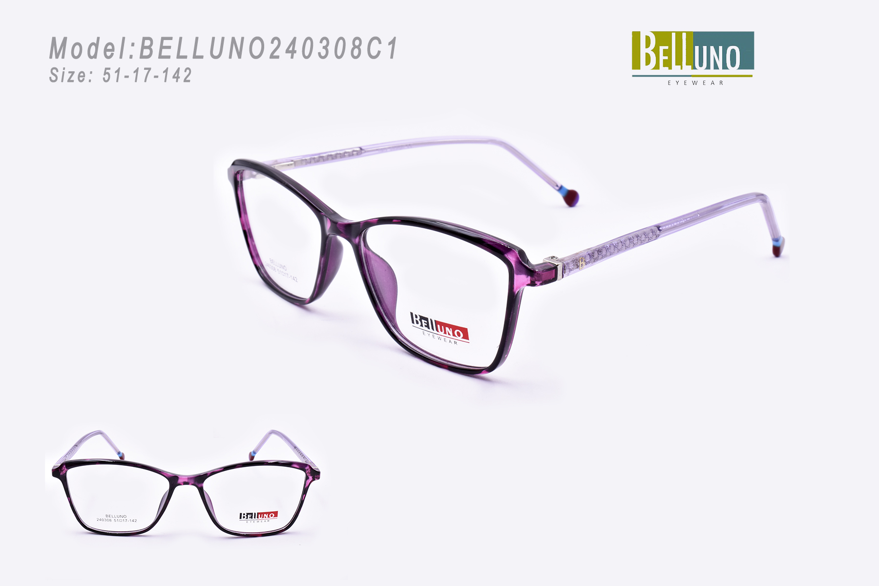 BELLUNO240308C1