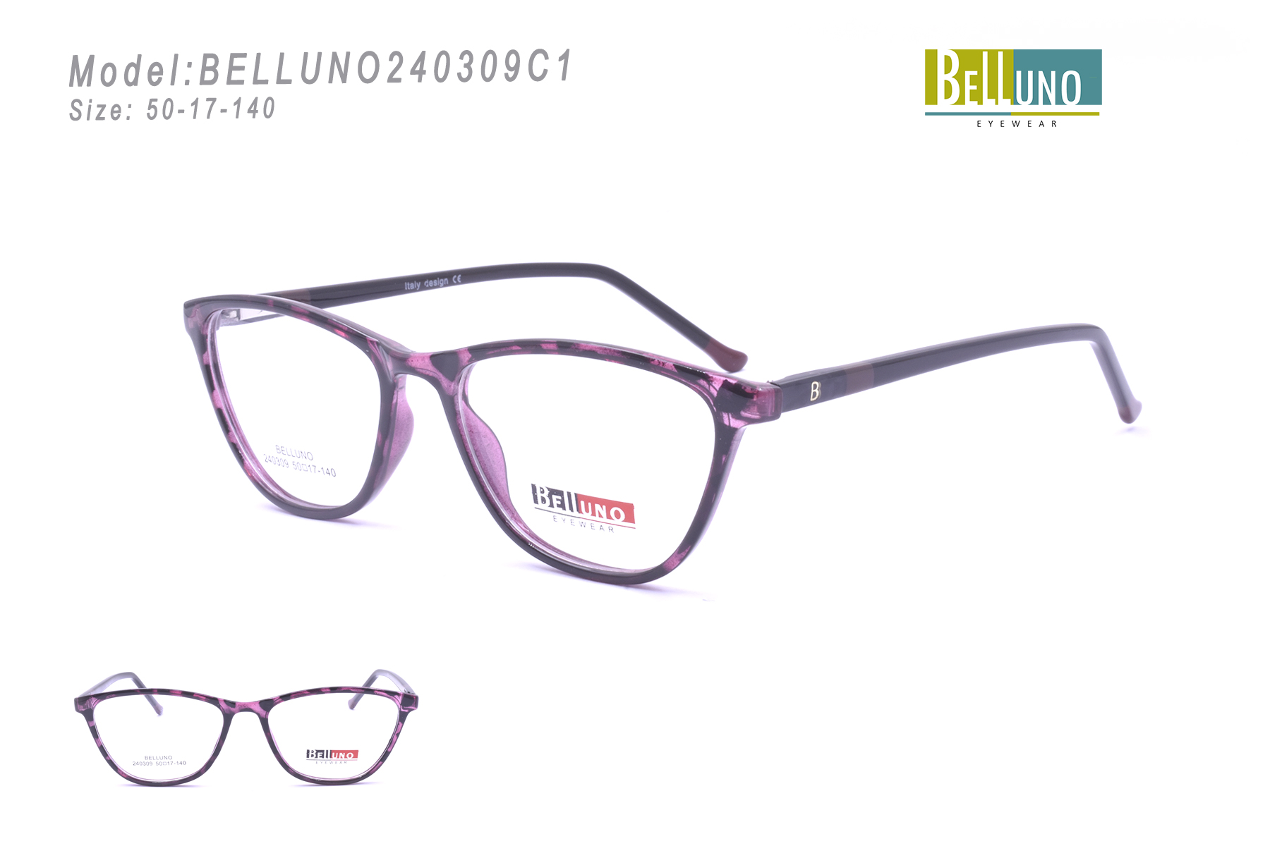 BELLUNO240309C1