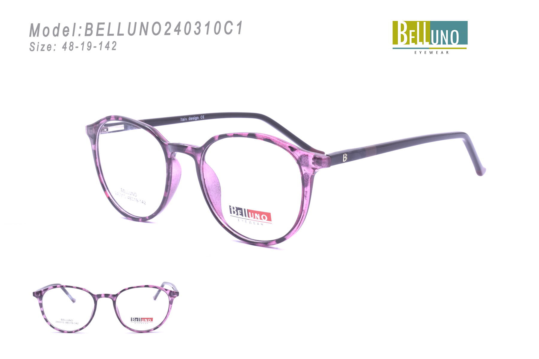 BELLUNO240310C1