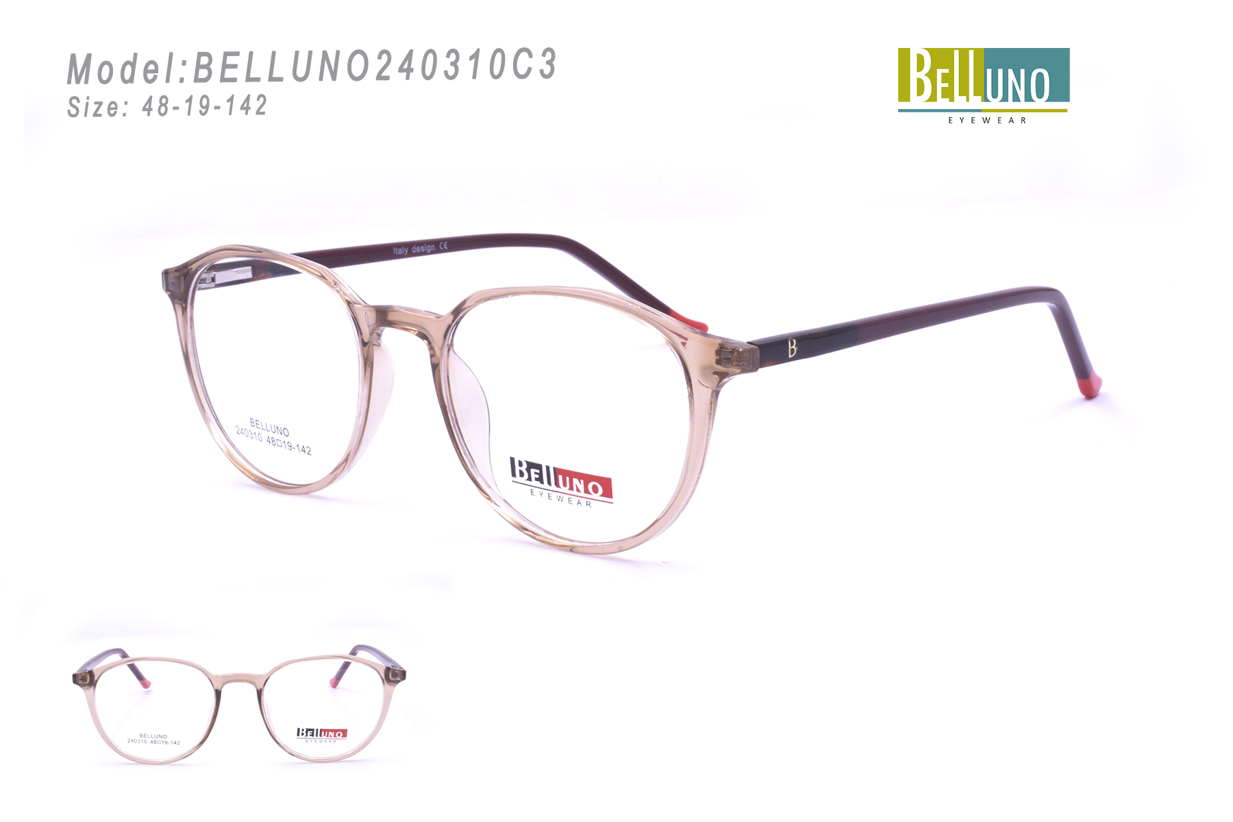 BELLUNO240310C3