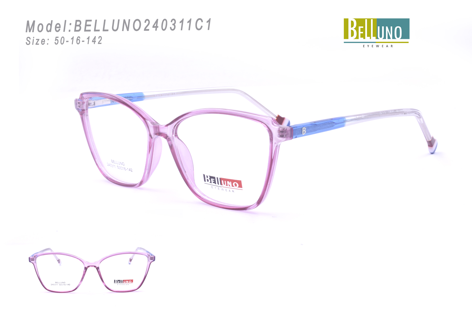 BELLUNO240311C1