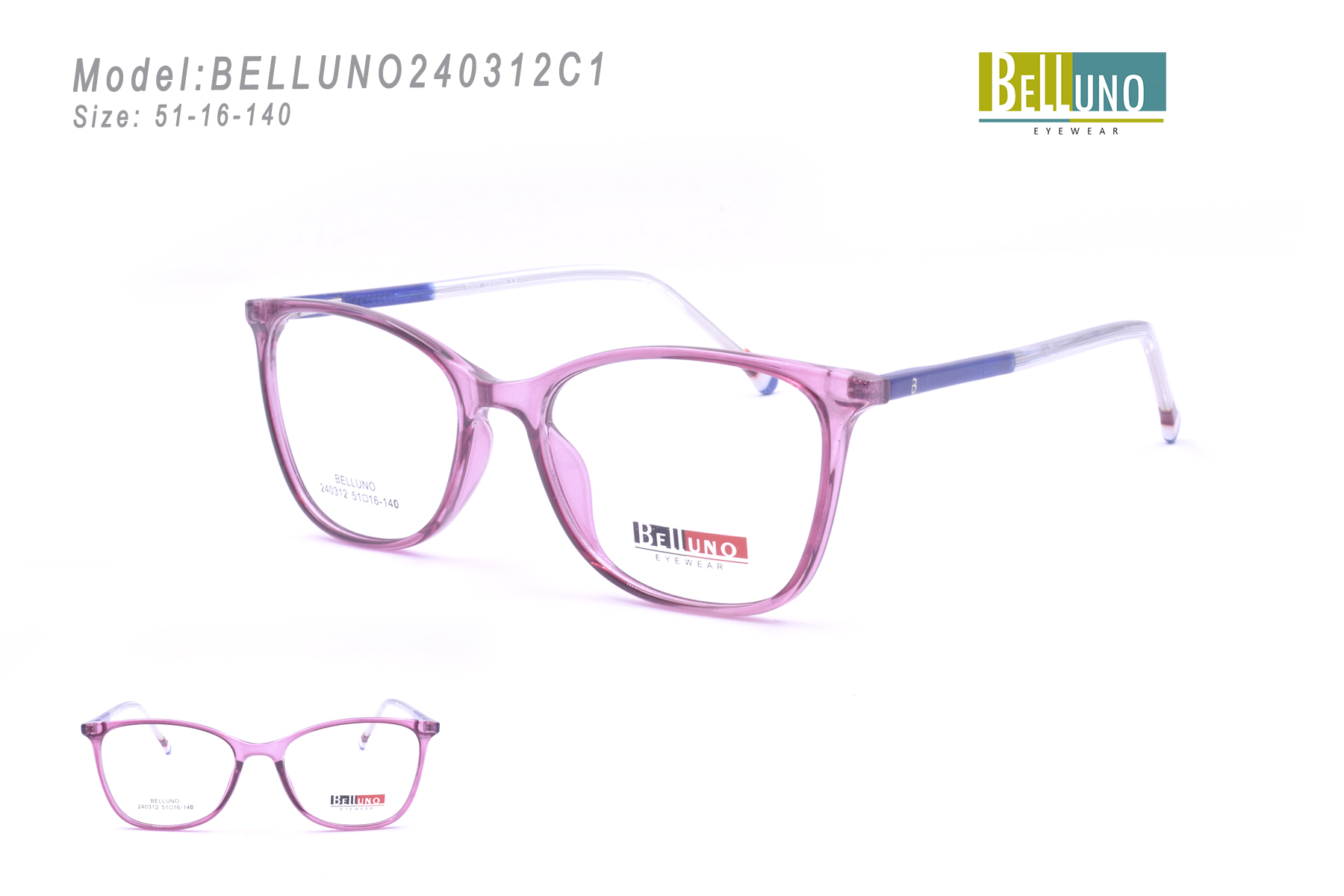 BELLUNO240312C1