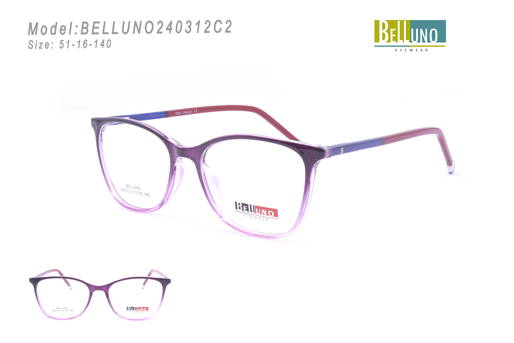 BELLUNO240312C2