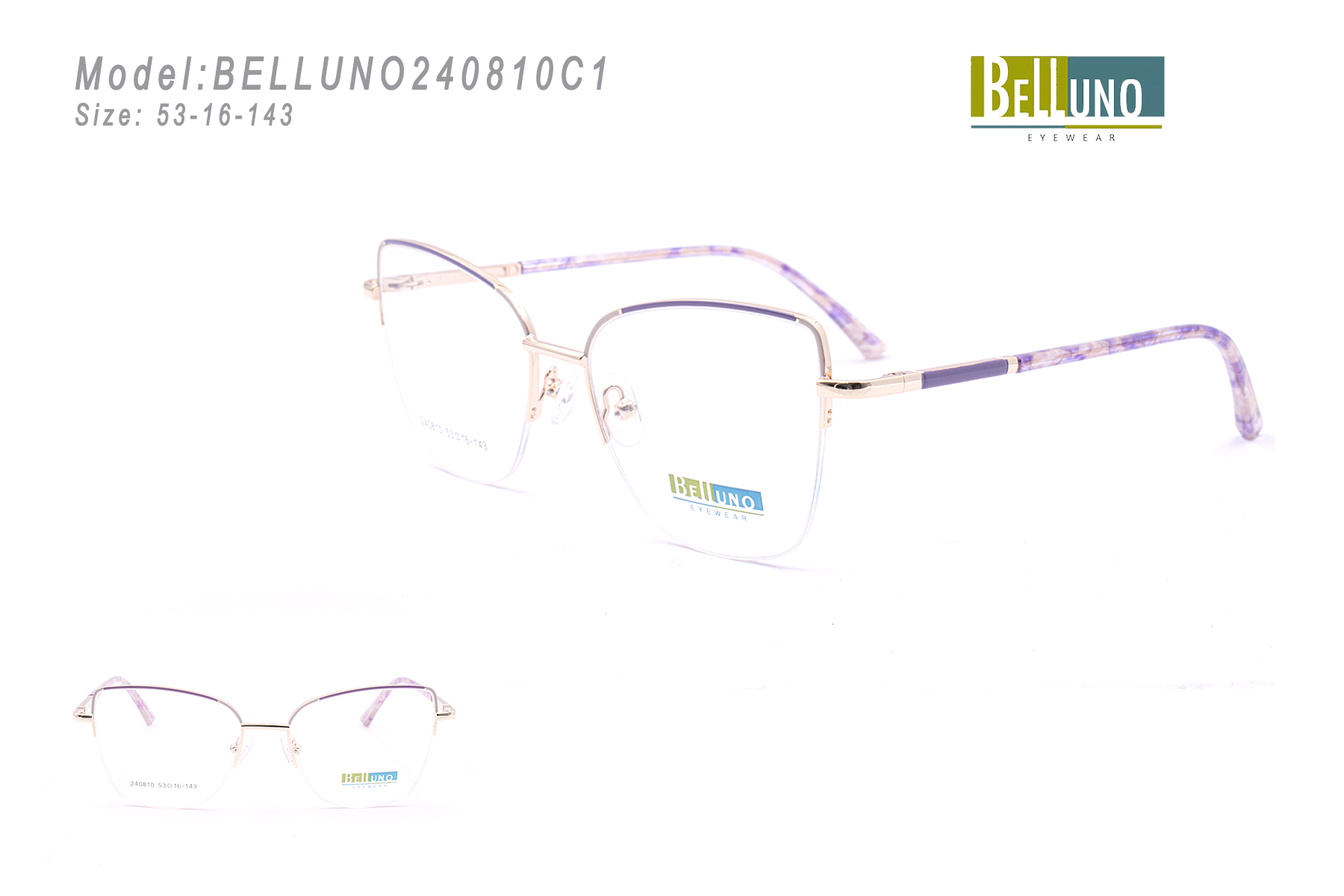 BELLUNO240810C1