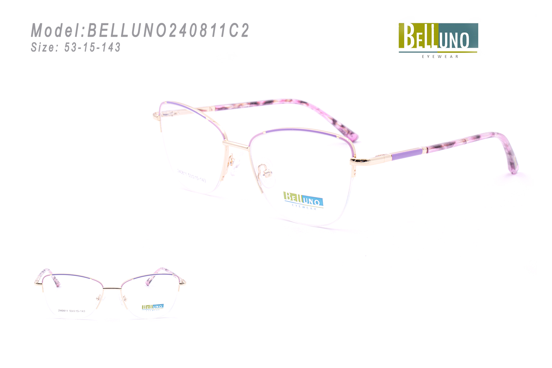 BELLUNO240811C2
