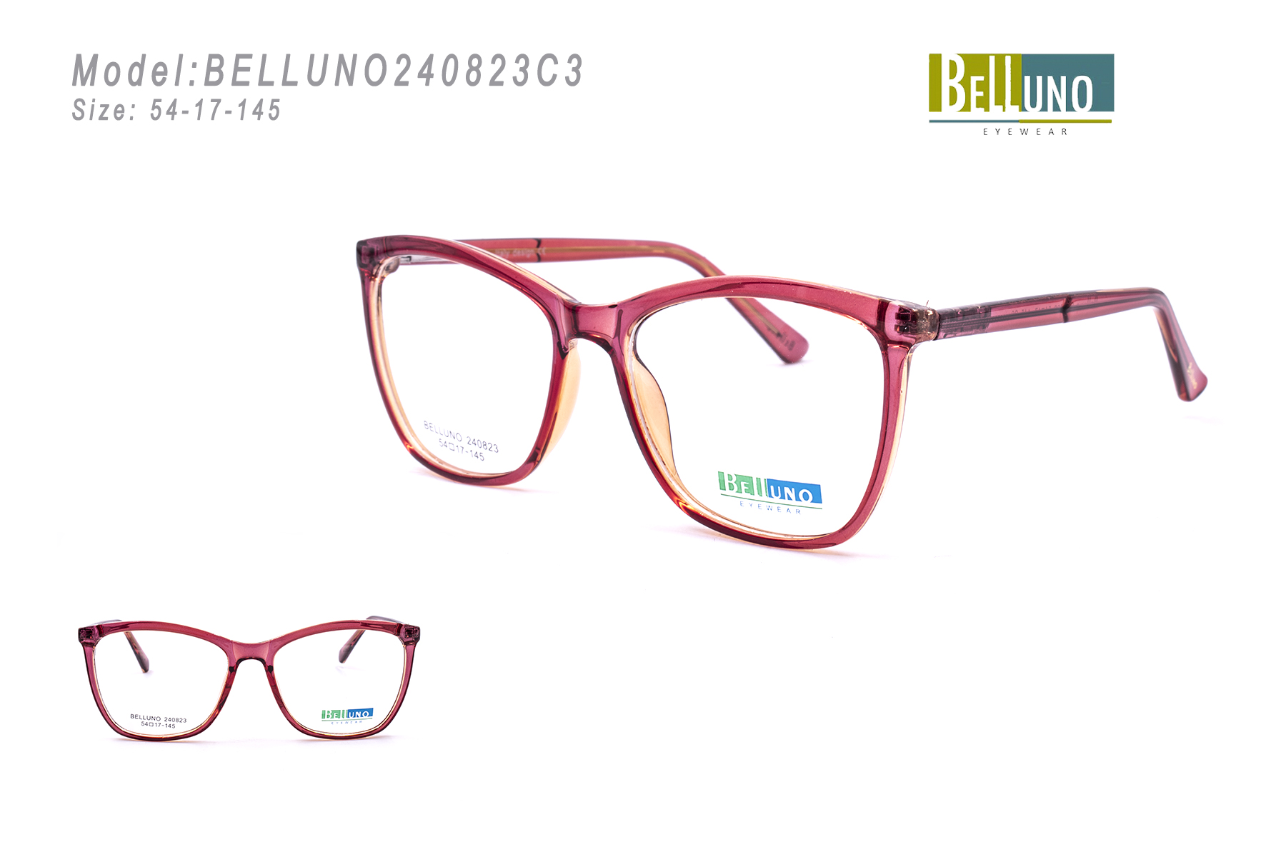 BELLUNO240823C3