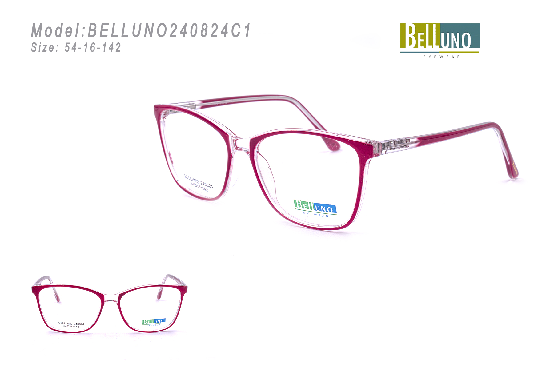 BELLUNO240824C1
