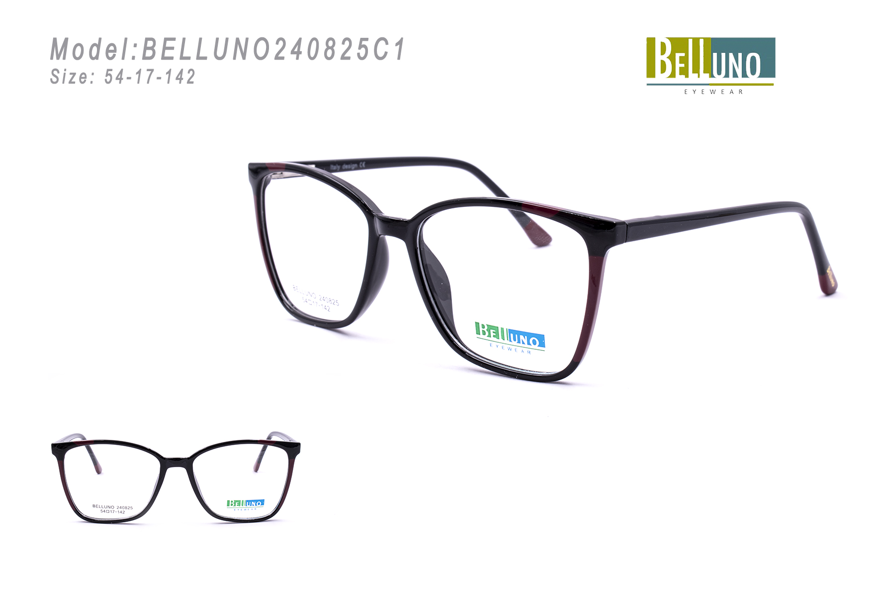 BELLUNO240825C1