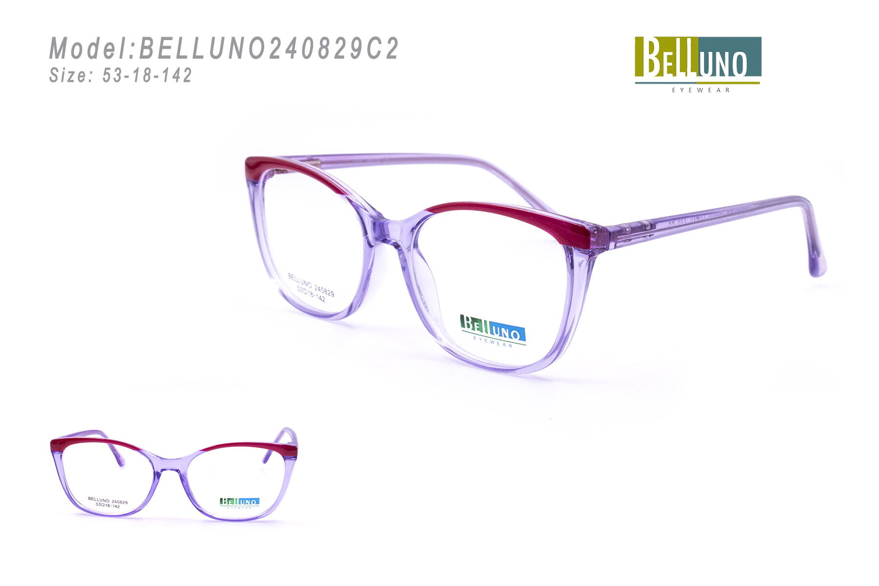 BELLUNO240829C2