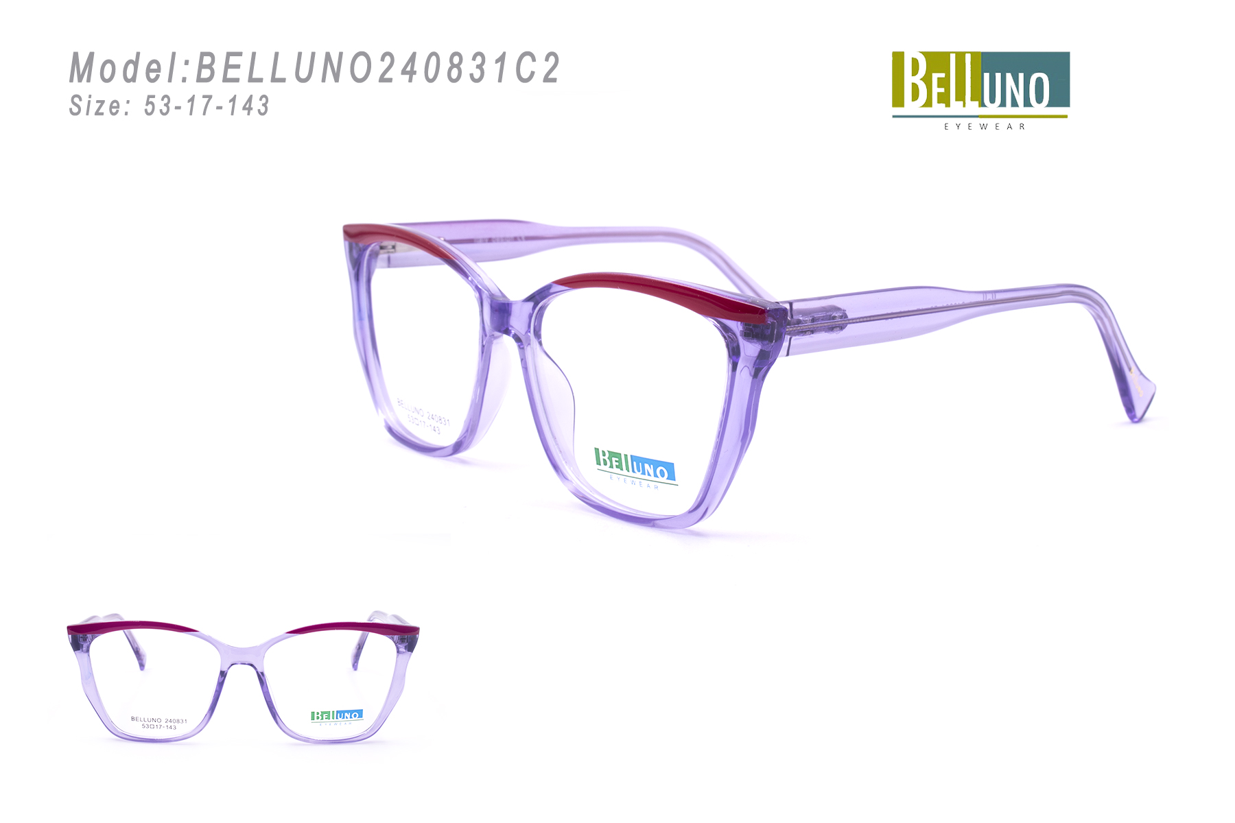 BELLUNO240831C2
