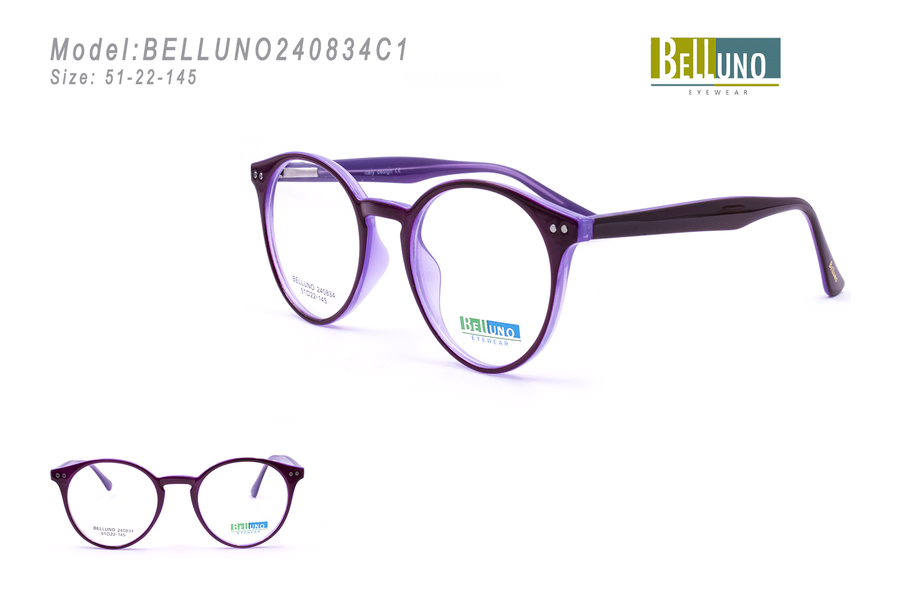 BELLUNO240834C1