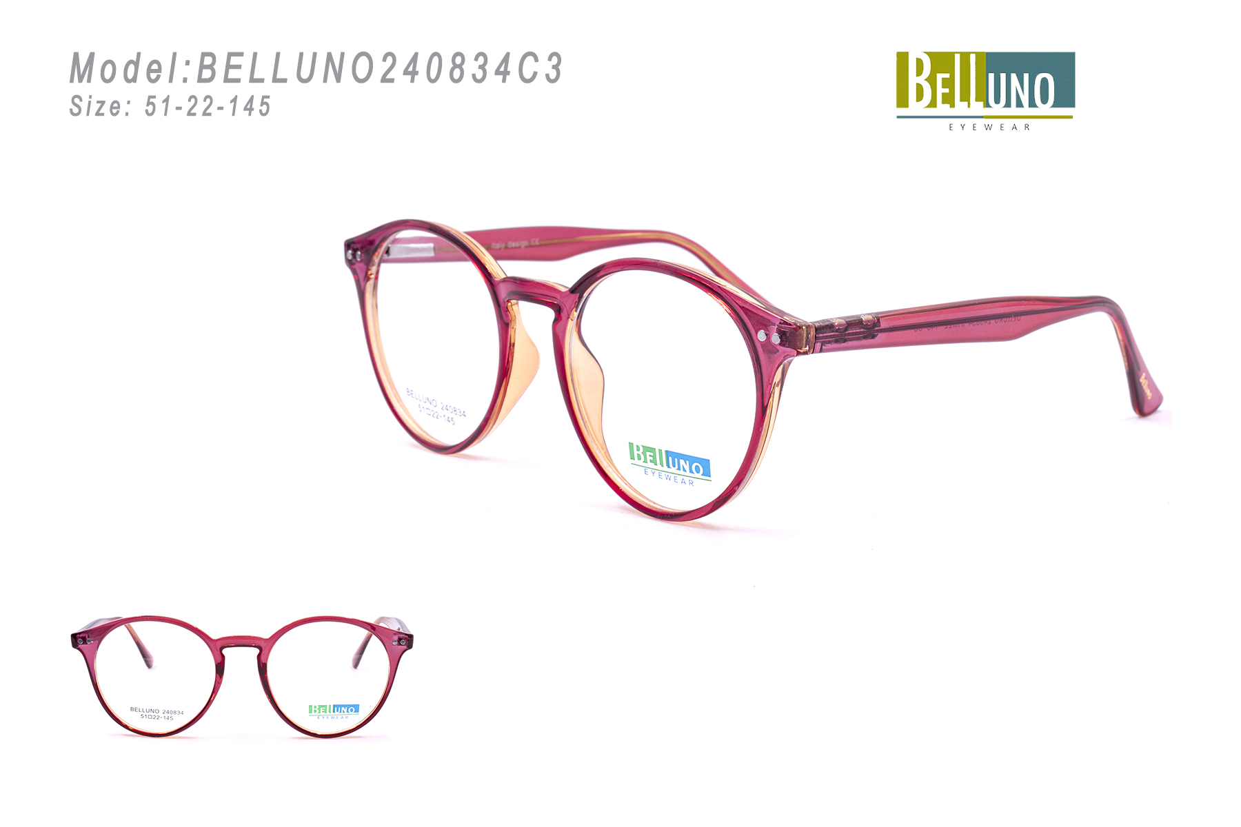 BELLUNO240834C3