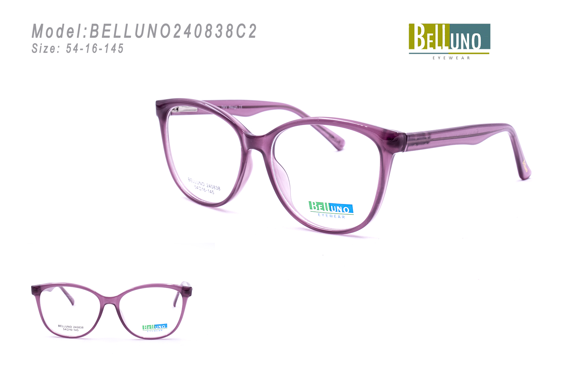 BELLUNO240838C2