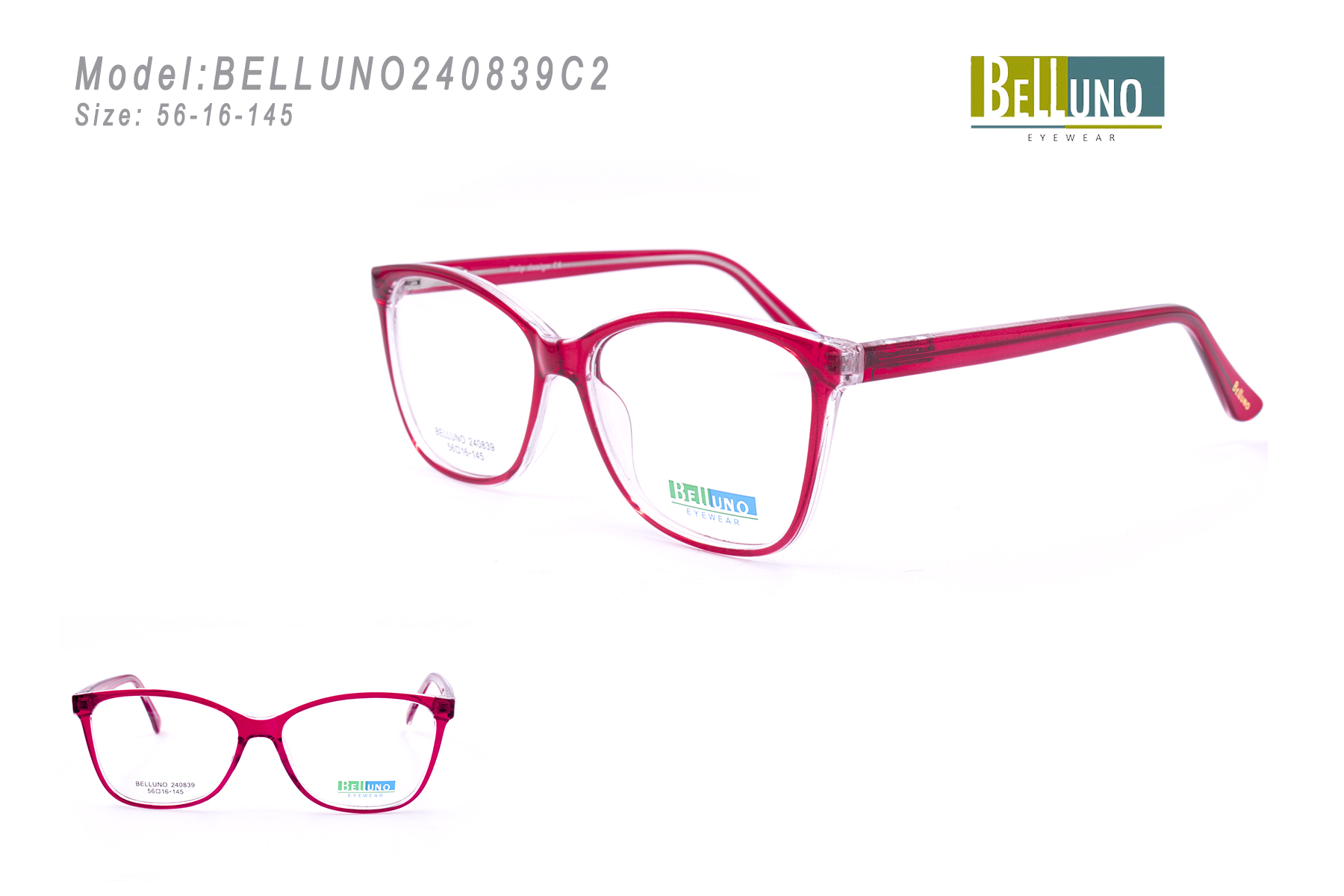 BELLUNO240839C2