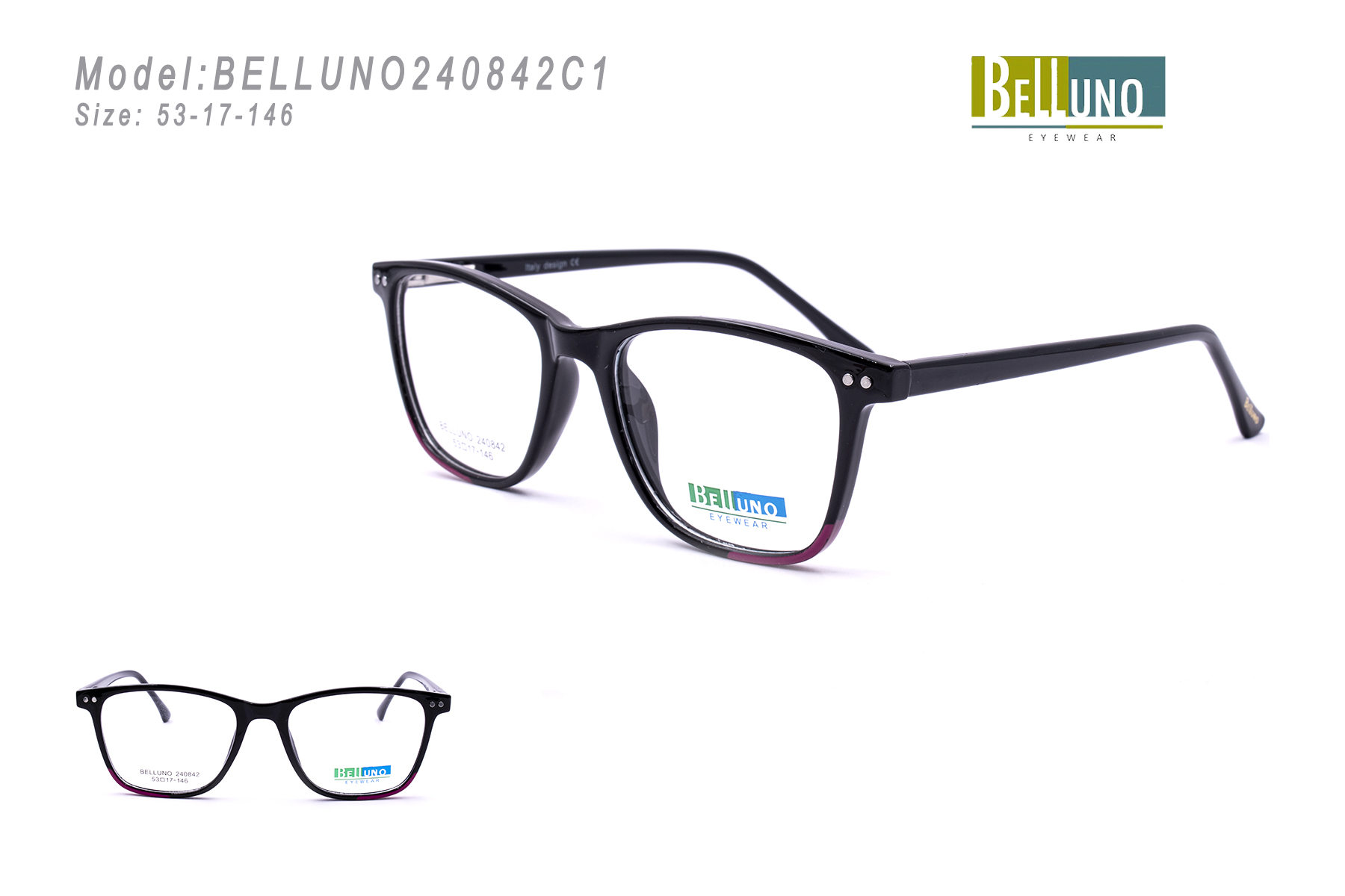 BELLUNO240842C1