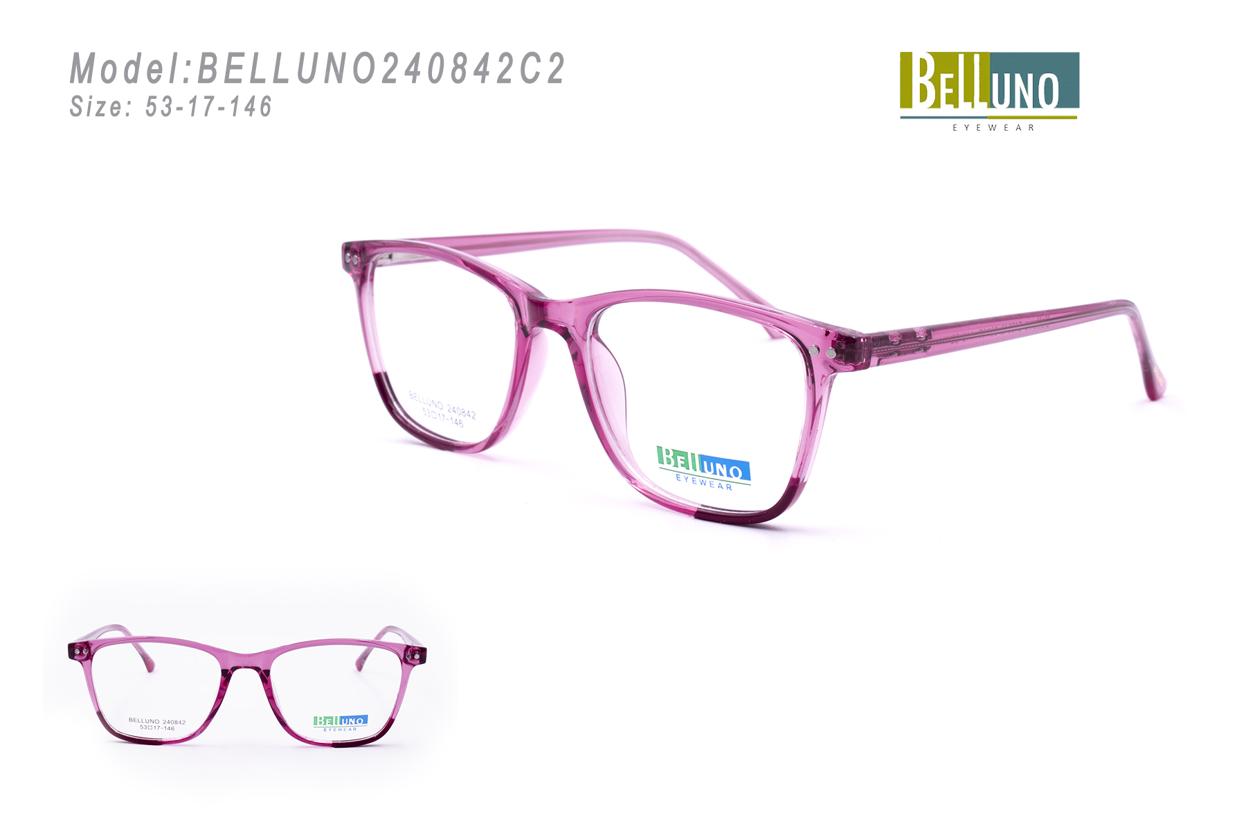 BELLUNO240842C2
