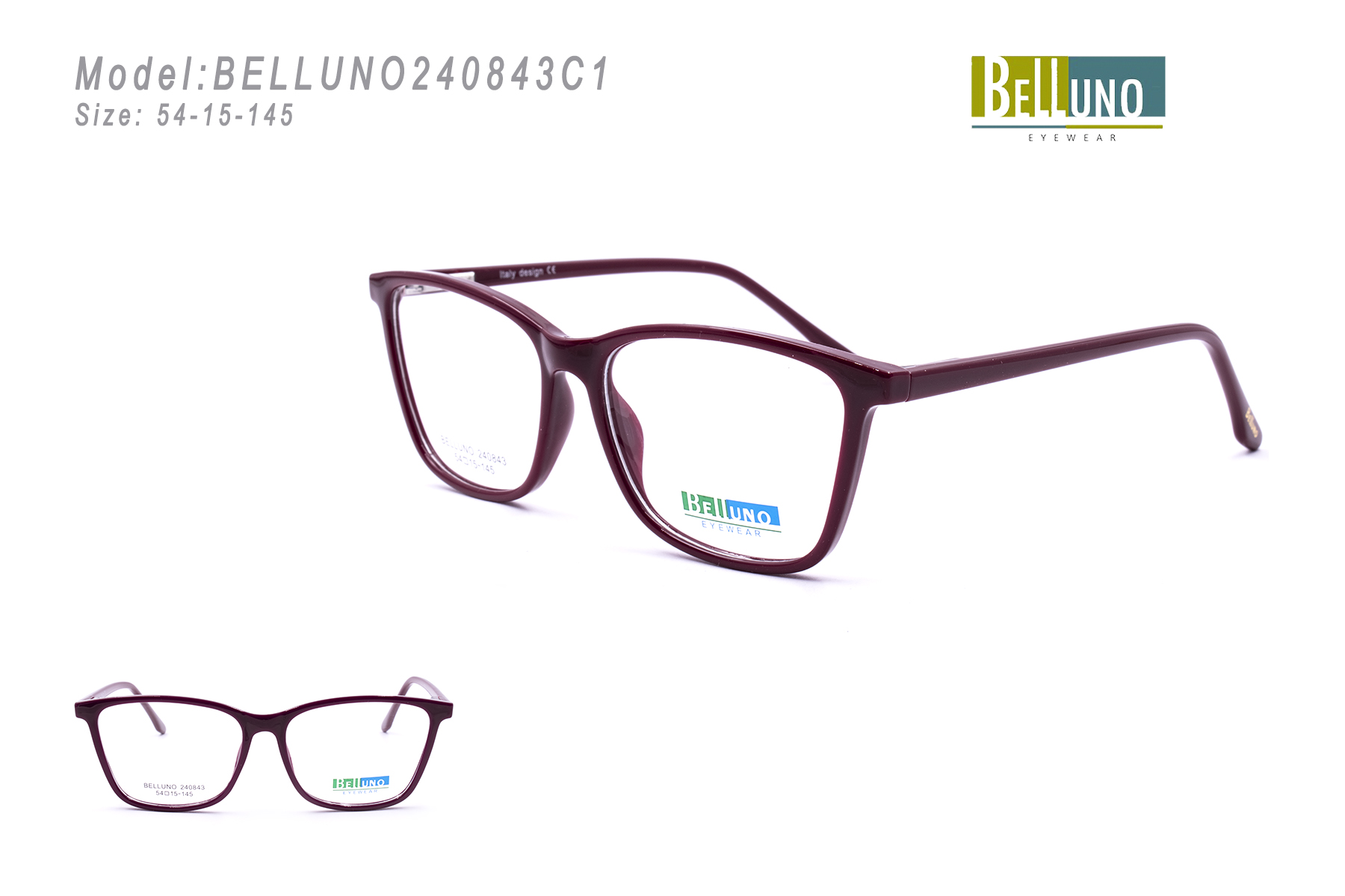 BELLUNO240843C1