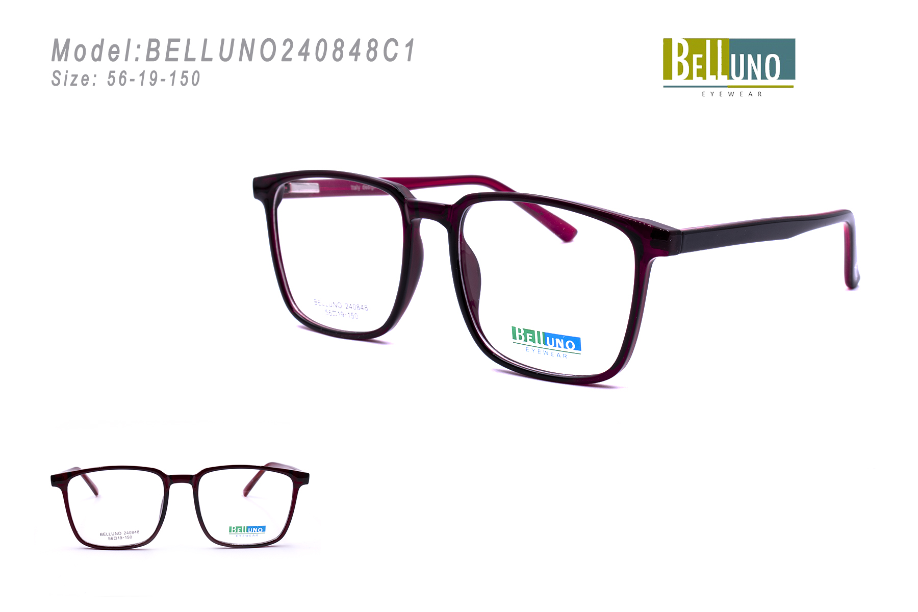 BELLUNO240848C1