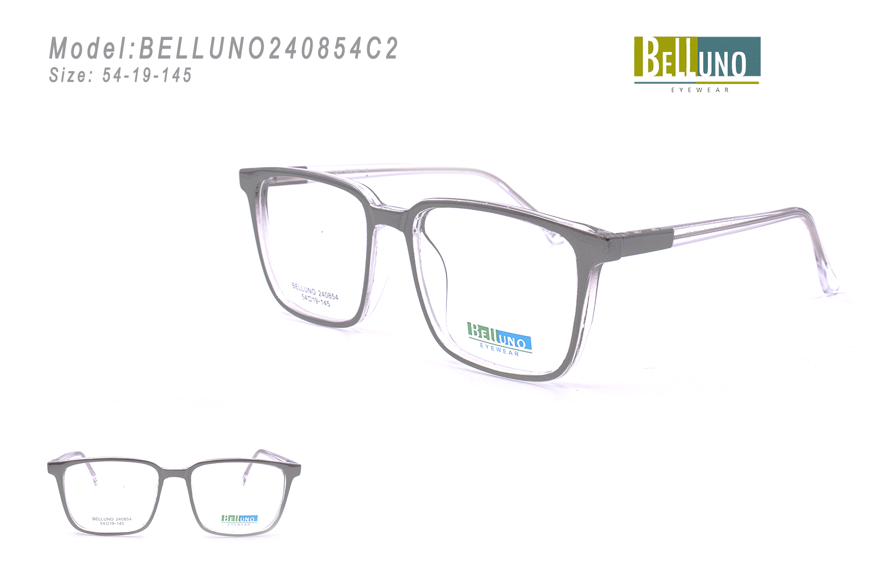 BELLUNO240854C2