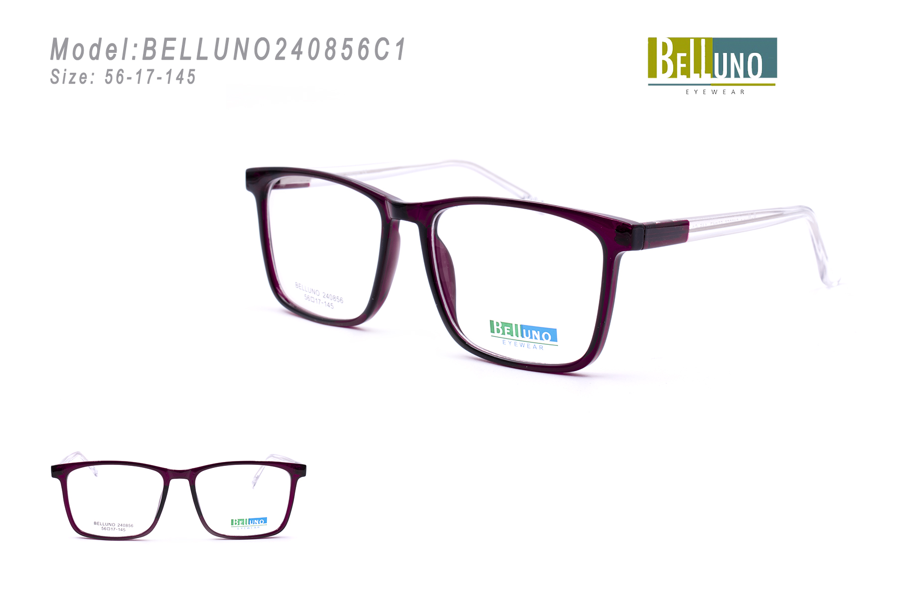 BELLUNO240856C1