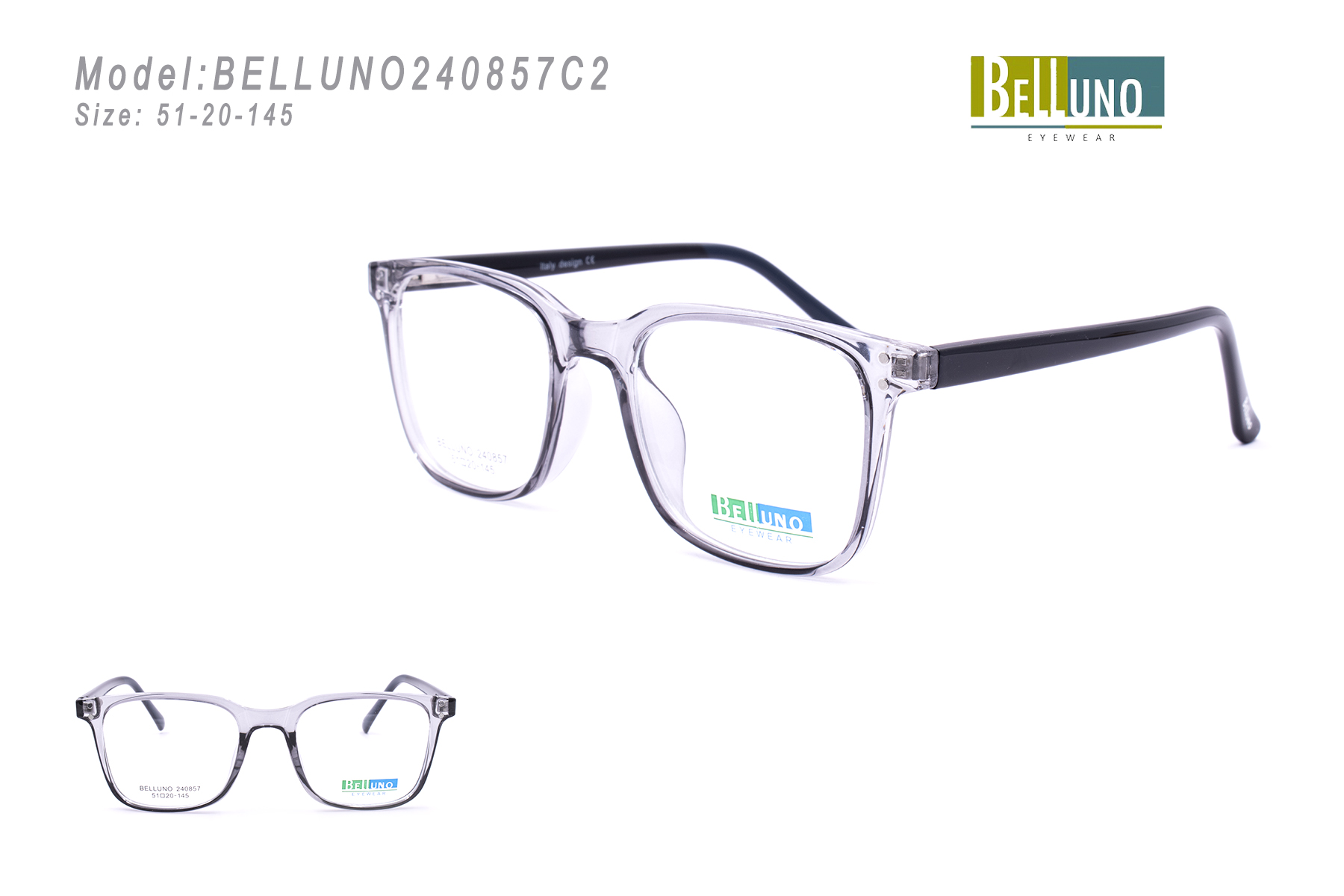 BELLUNO240857C2