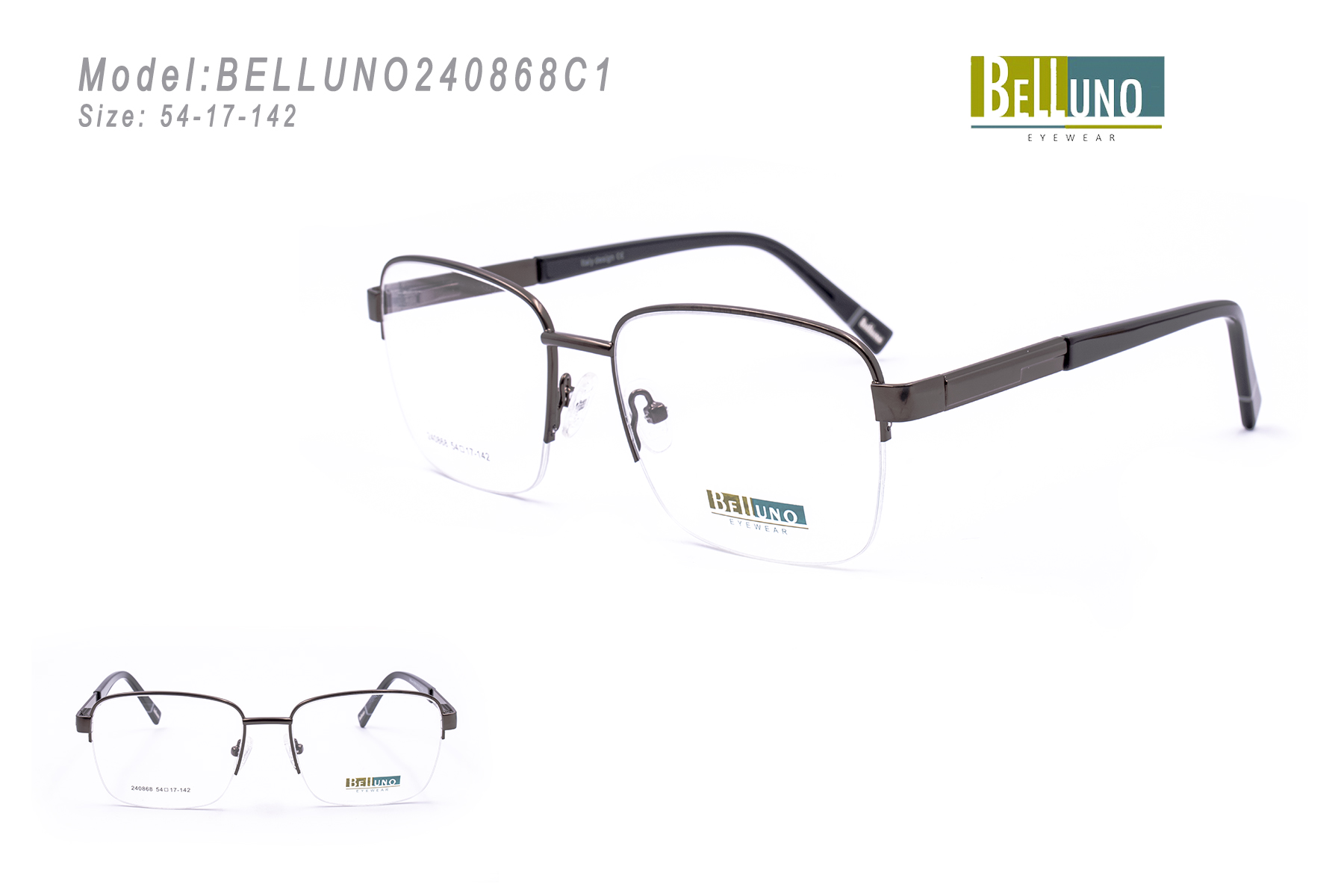 BELLUNO240868C1