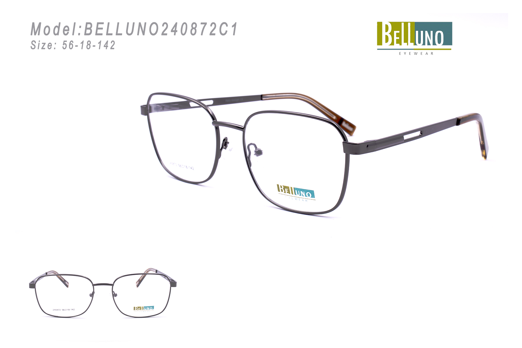 BELLUNO240872C1