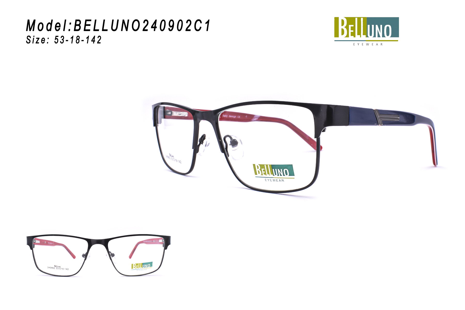 BELLUNO240902C1