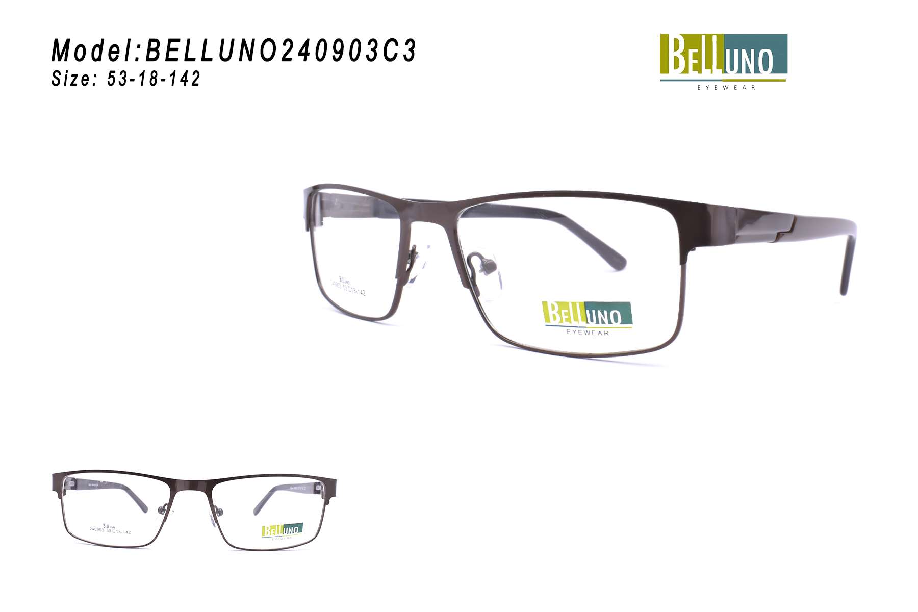 BELLUNO240903C3