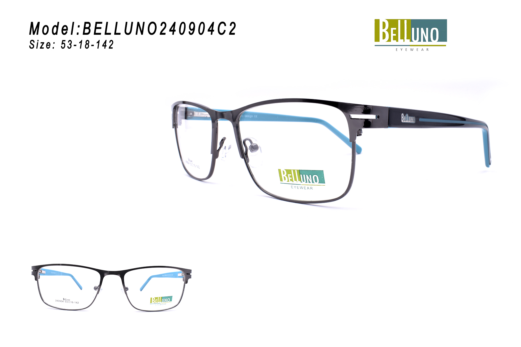 BELLUNO240904C2