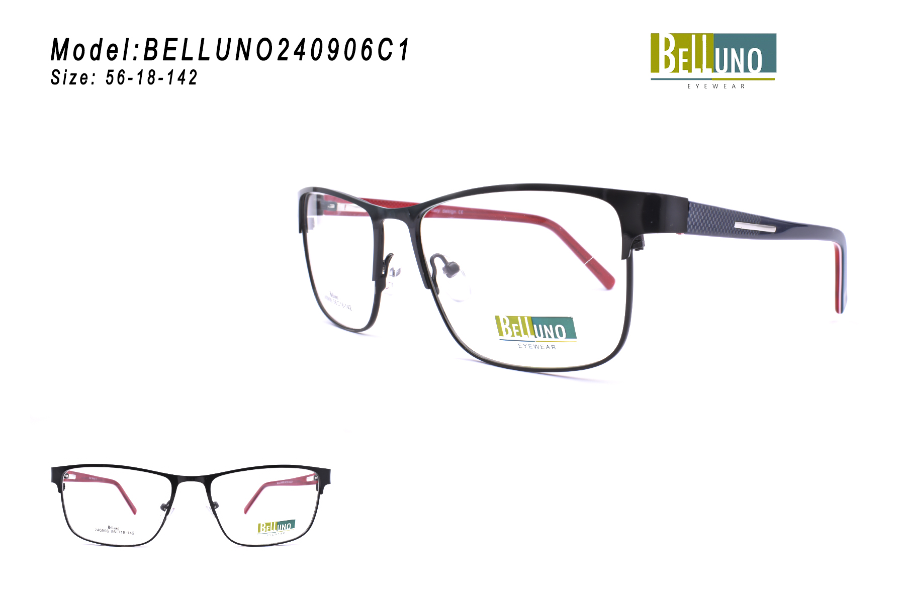 BELLUNO240906C1
