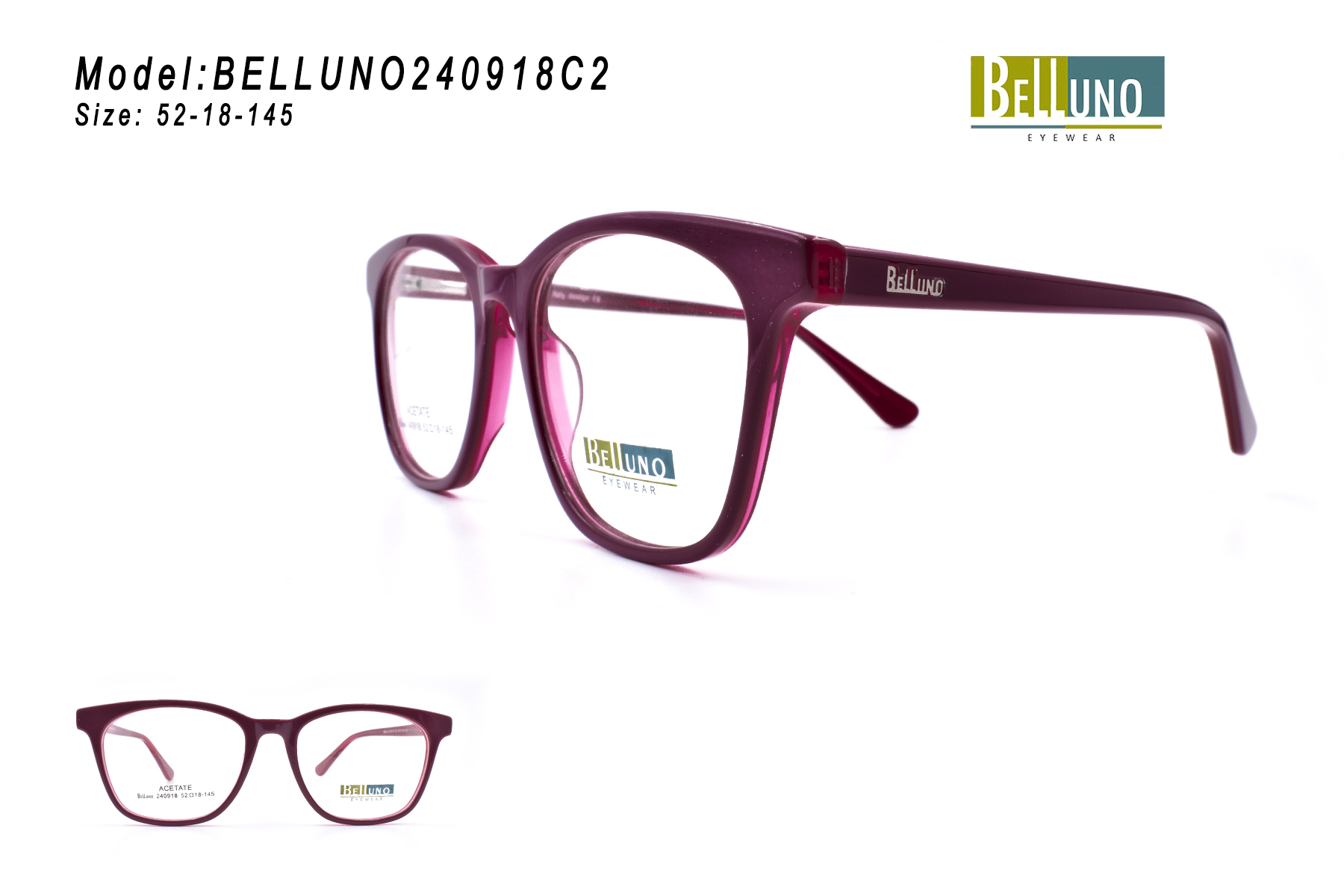 BELLUNO240918C2