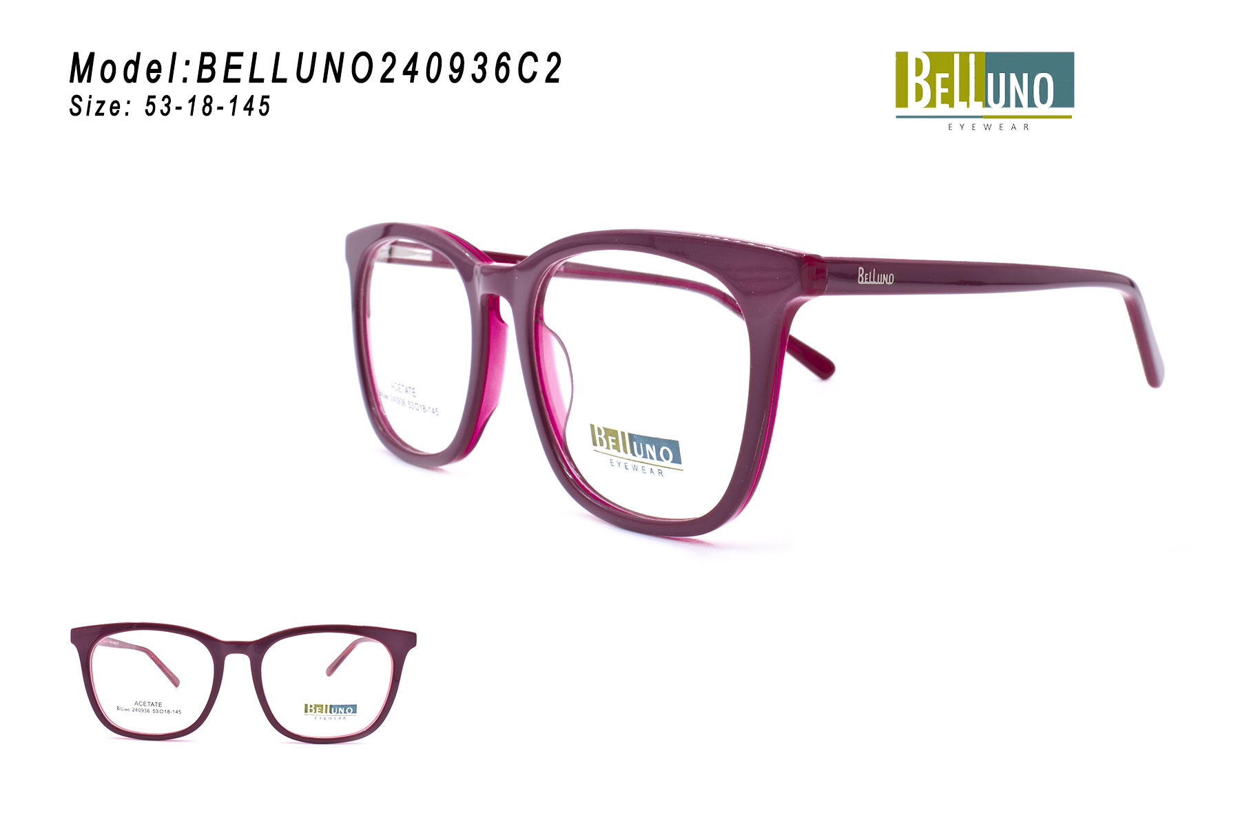 BELLUNO240936C2