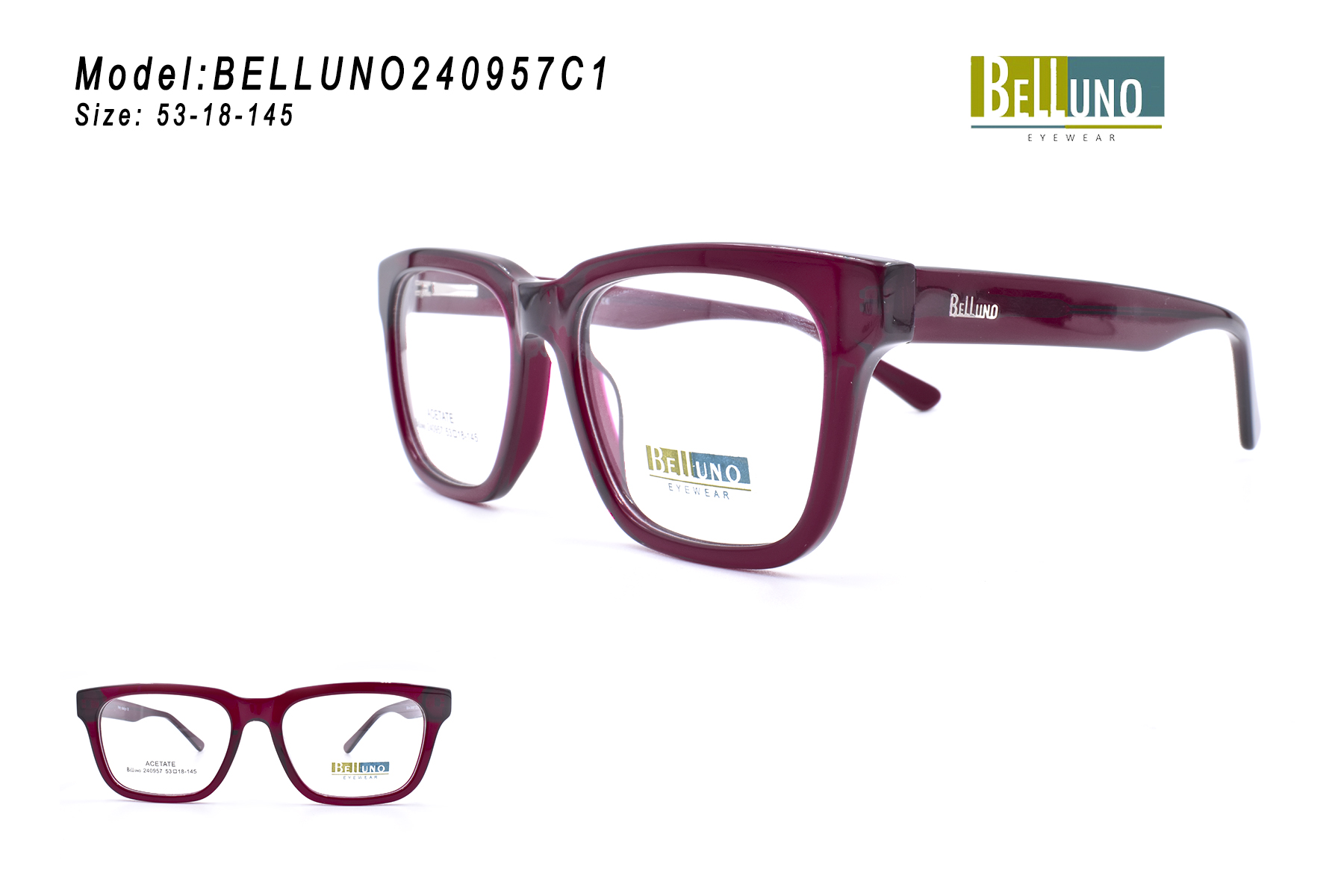 BELLUNO240957C1