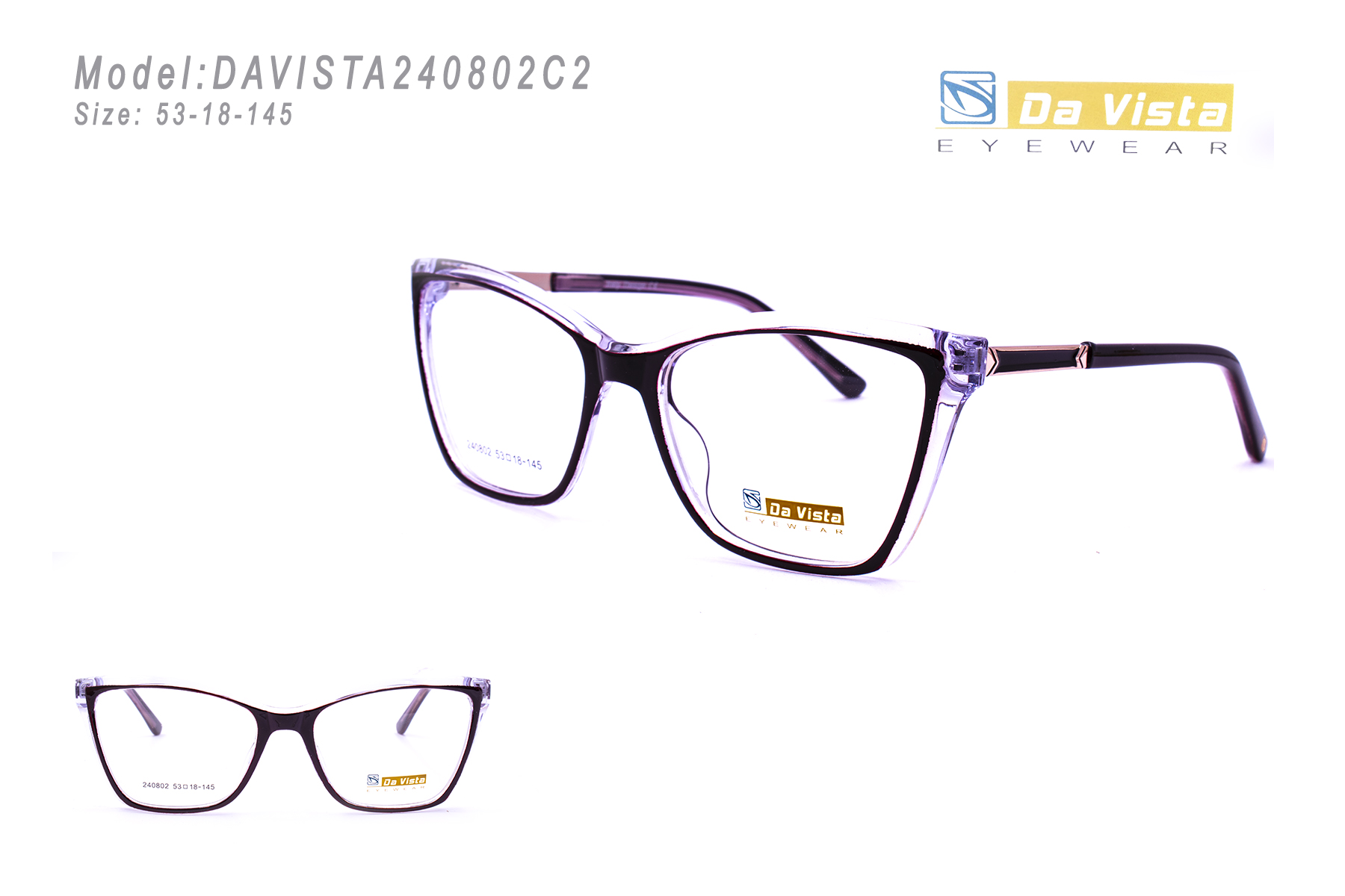 DAVISTA240802C2