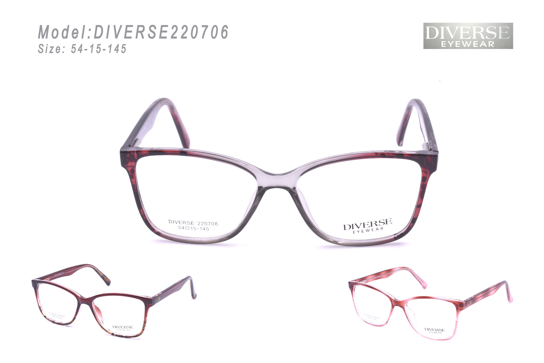 DIVERSE220706