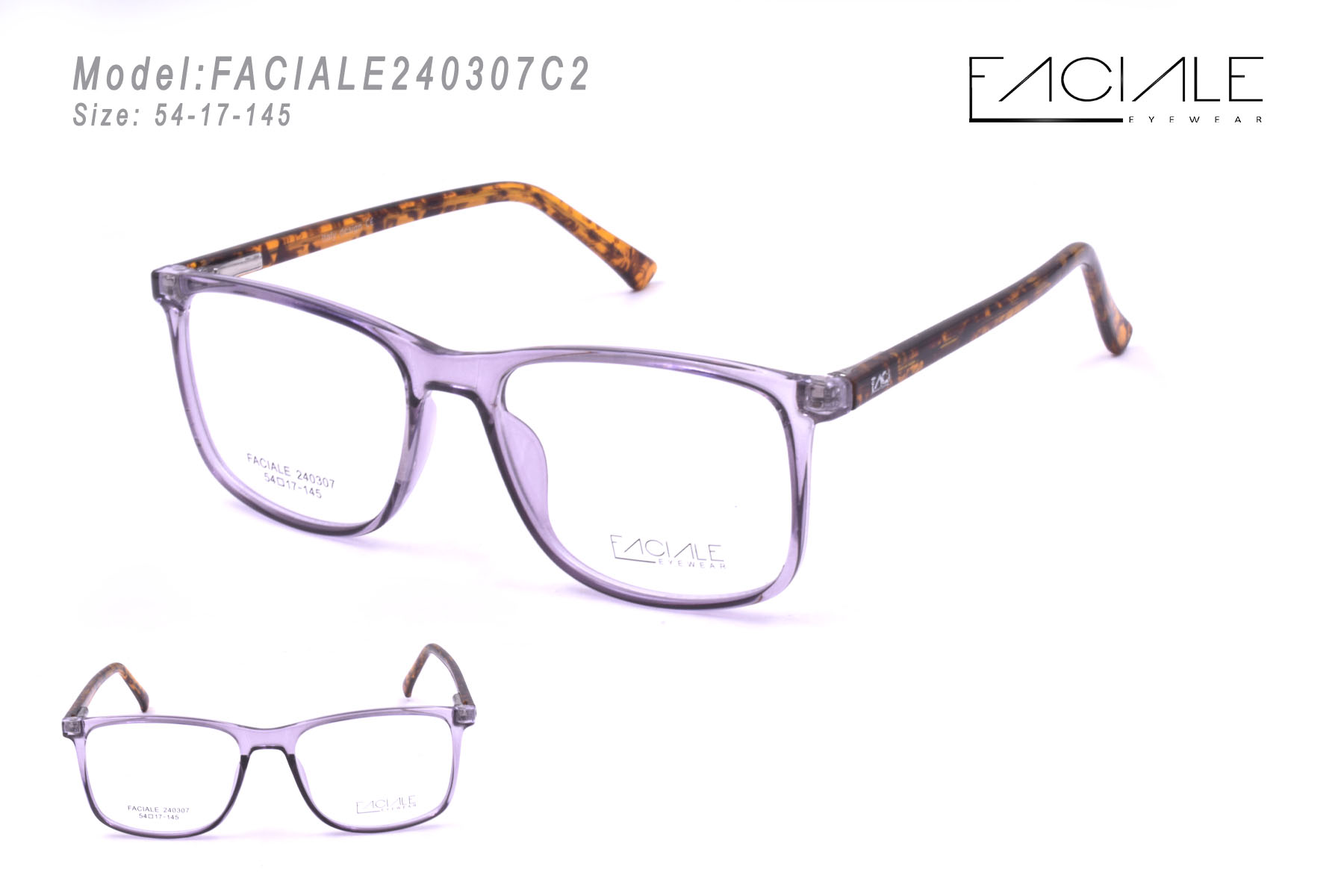 FACIALE240307C2