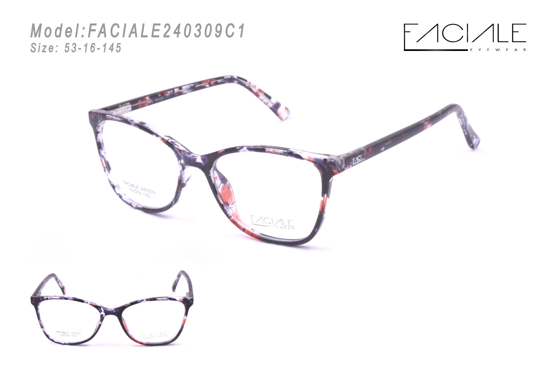 FACIALE240309C1