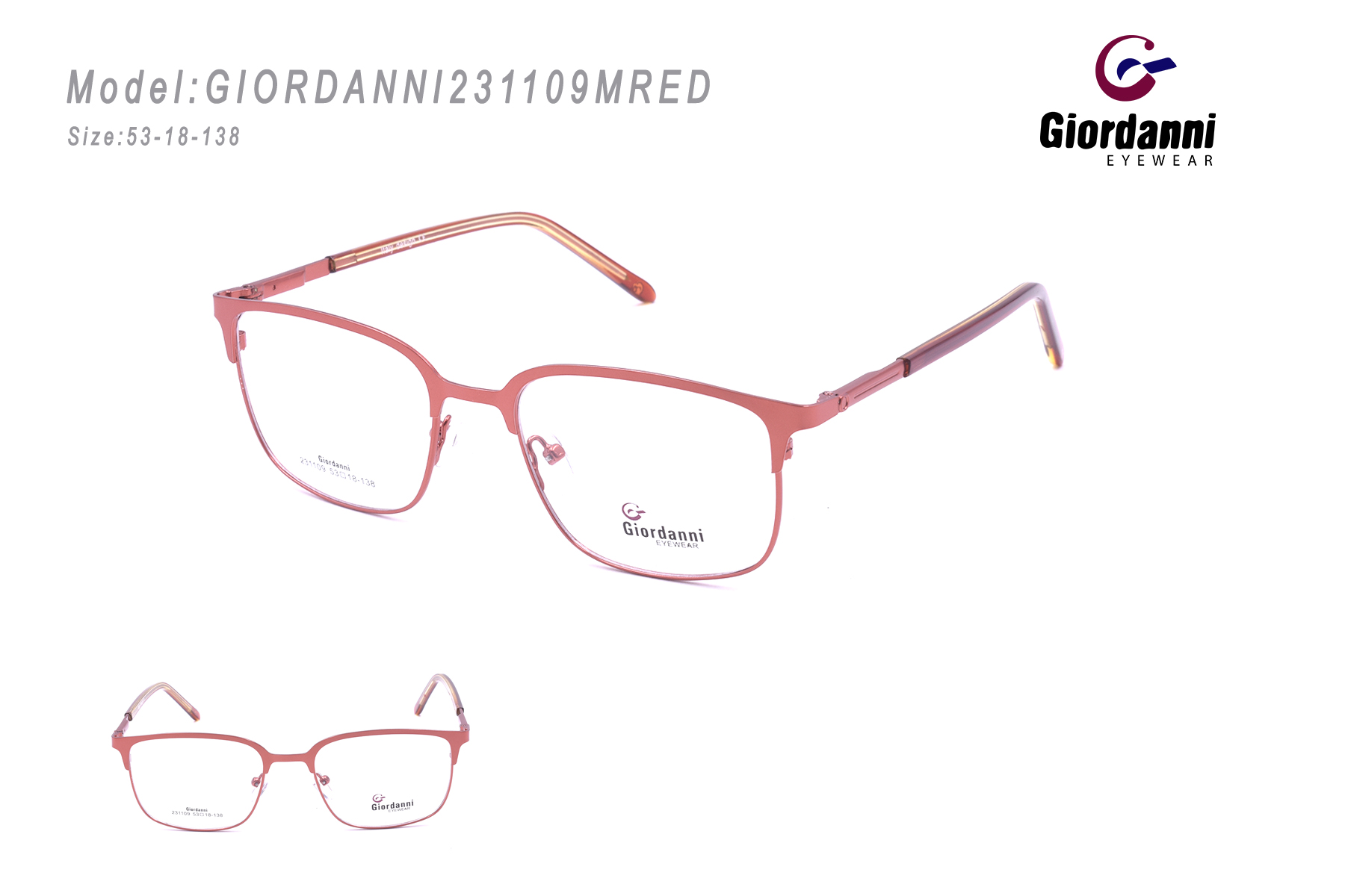 GIORDANNI231109MRED