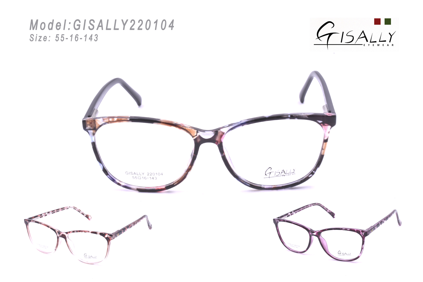 GISALLY220104
