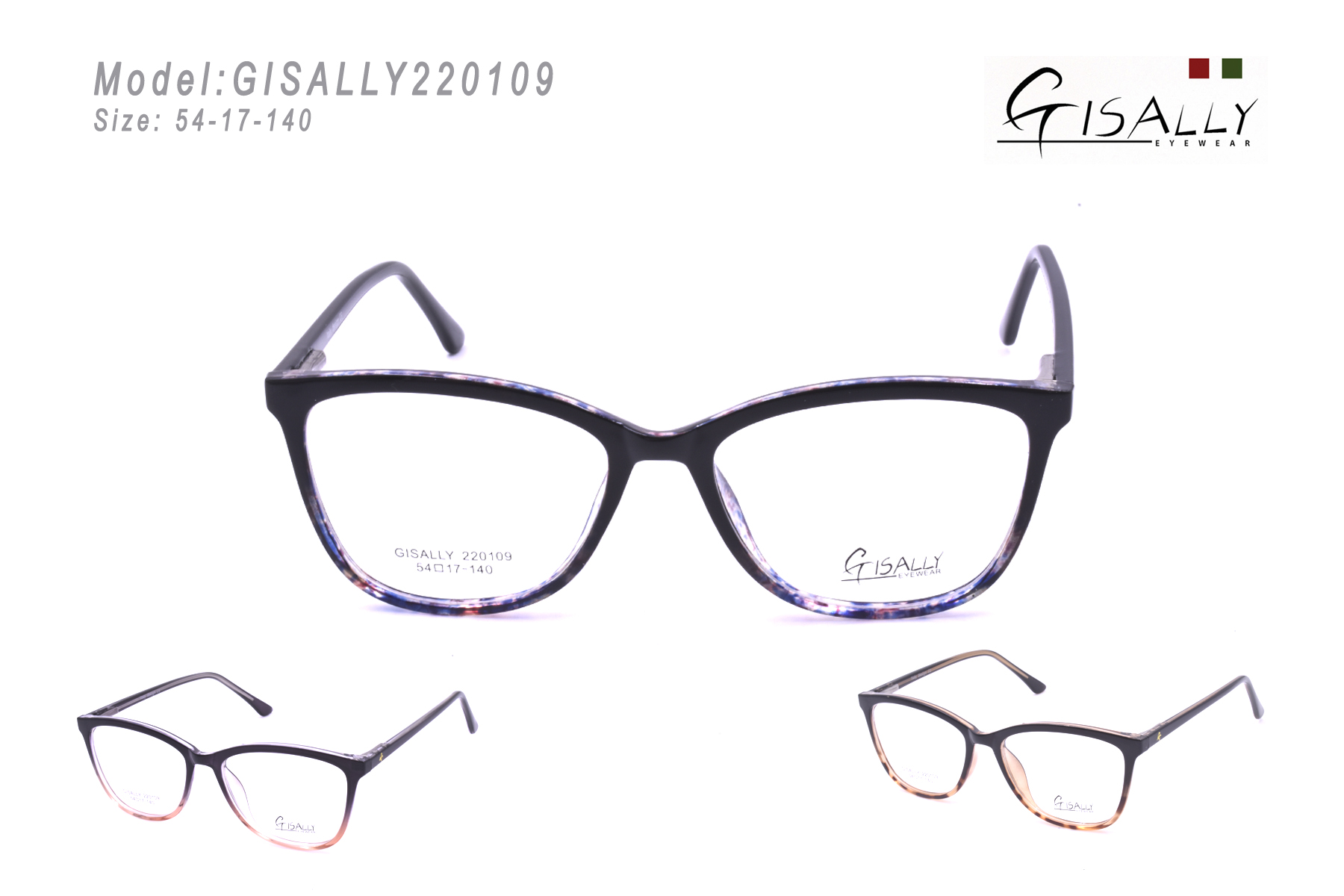 GISALLY220109