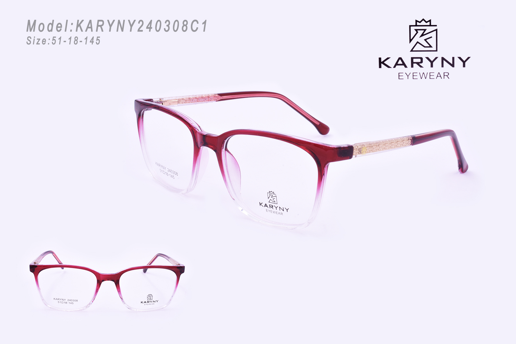 KARYNY240308C1