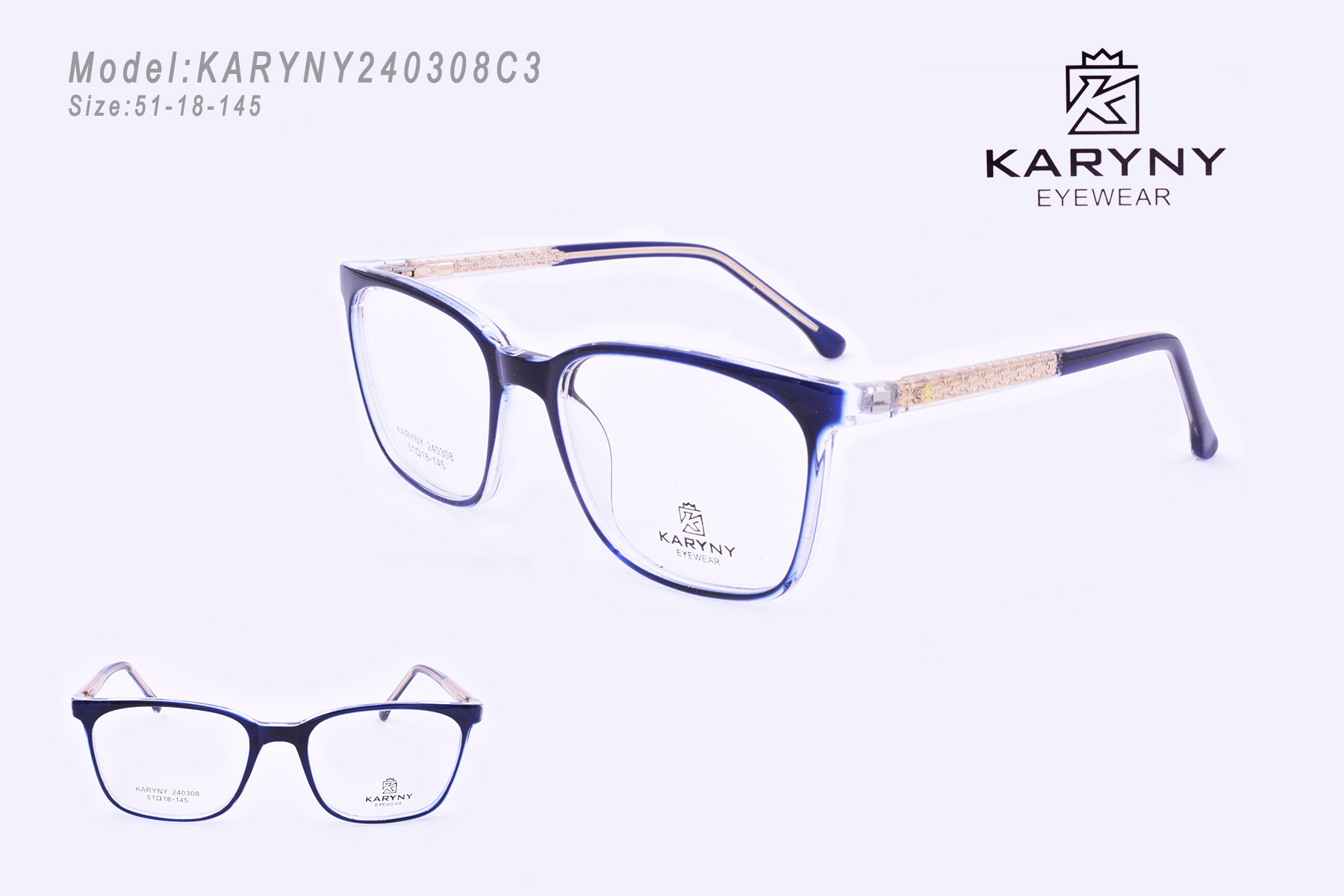 KARYNY240308C3