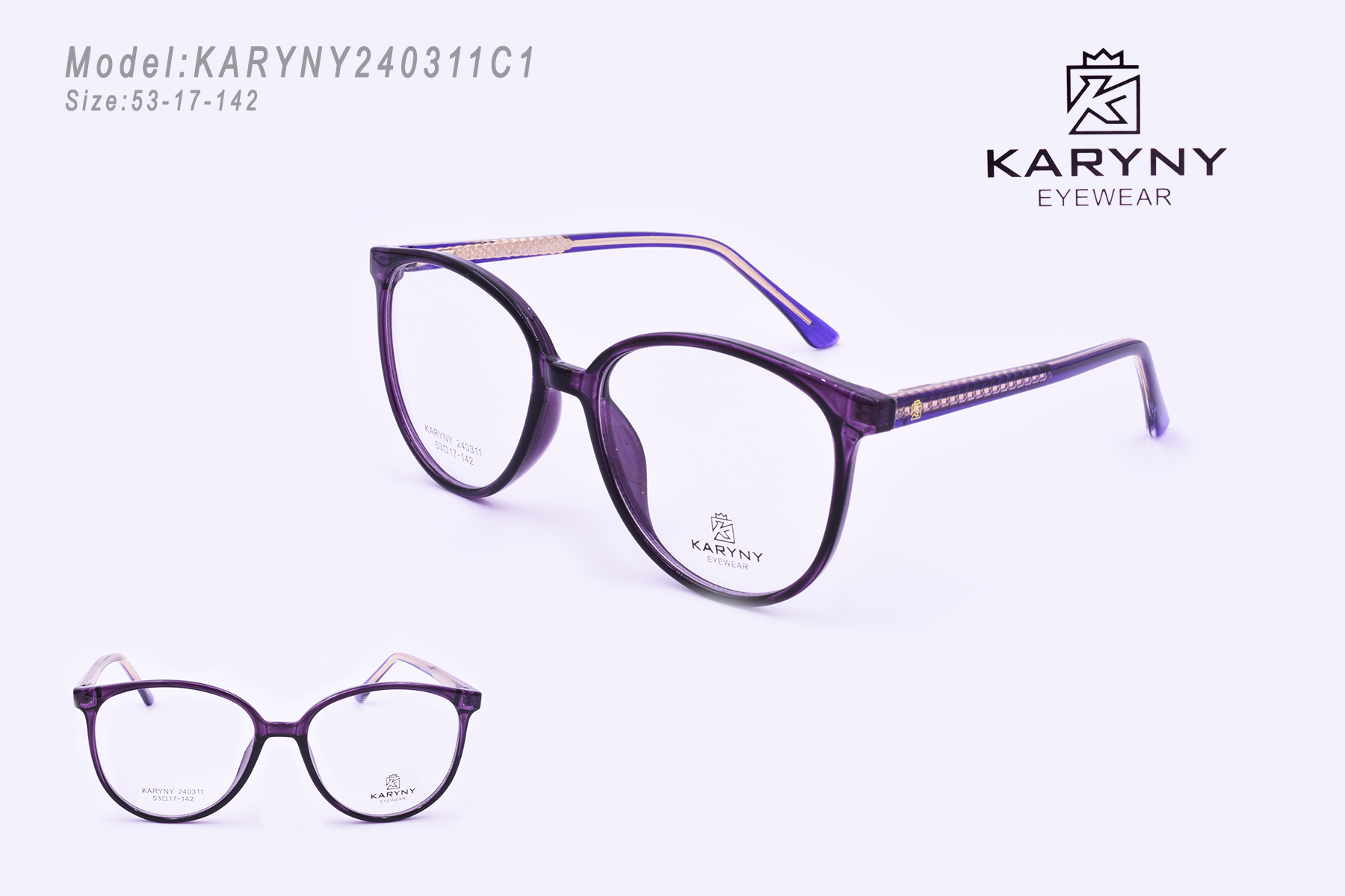 KARYNY240311C1