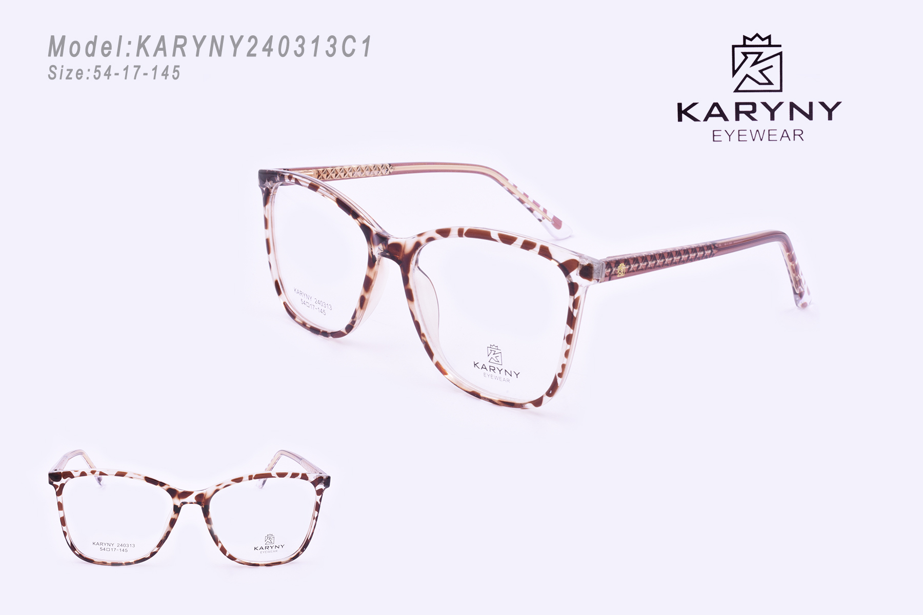 KARYNY240313C1