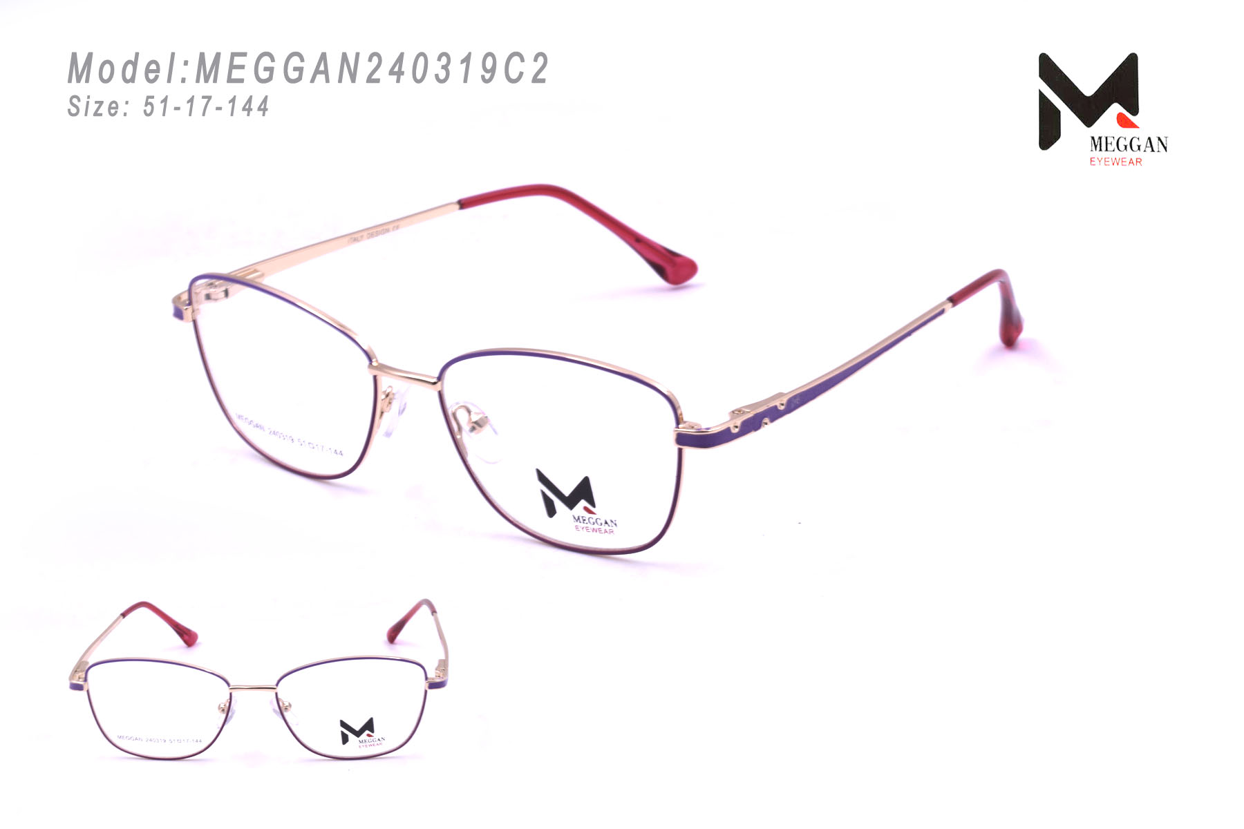 MEGGAN240319C2