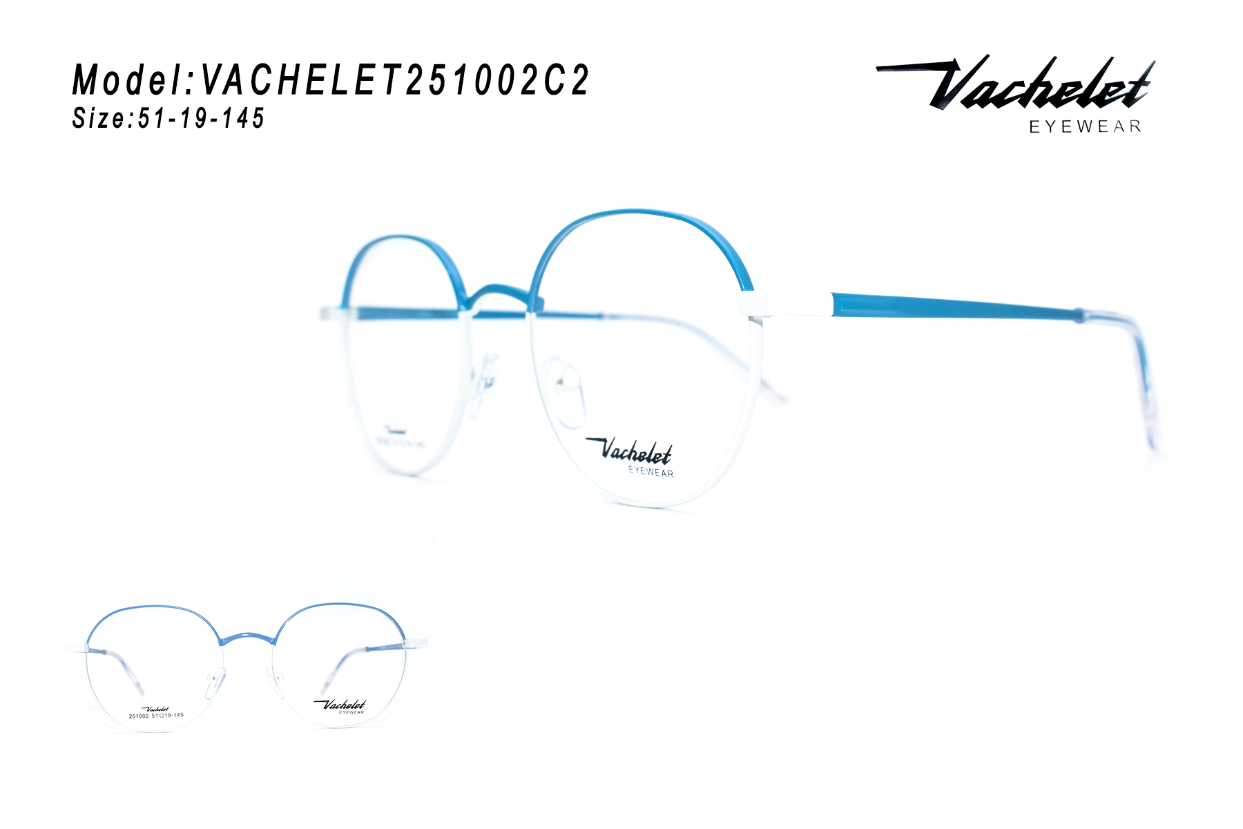VACHELET251002C2